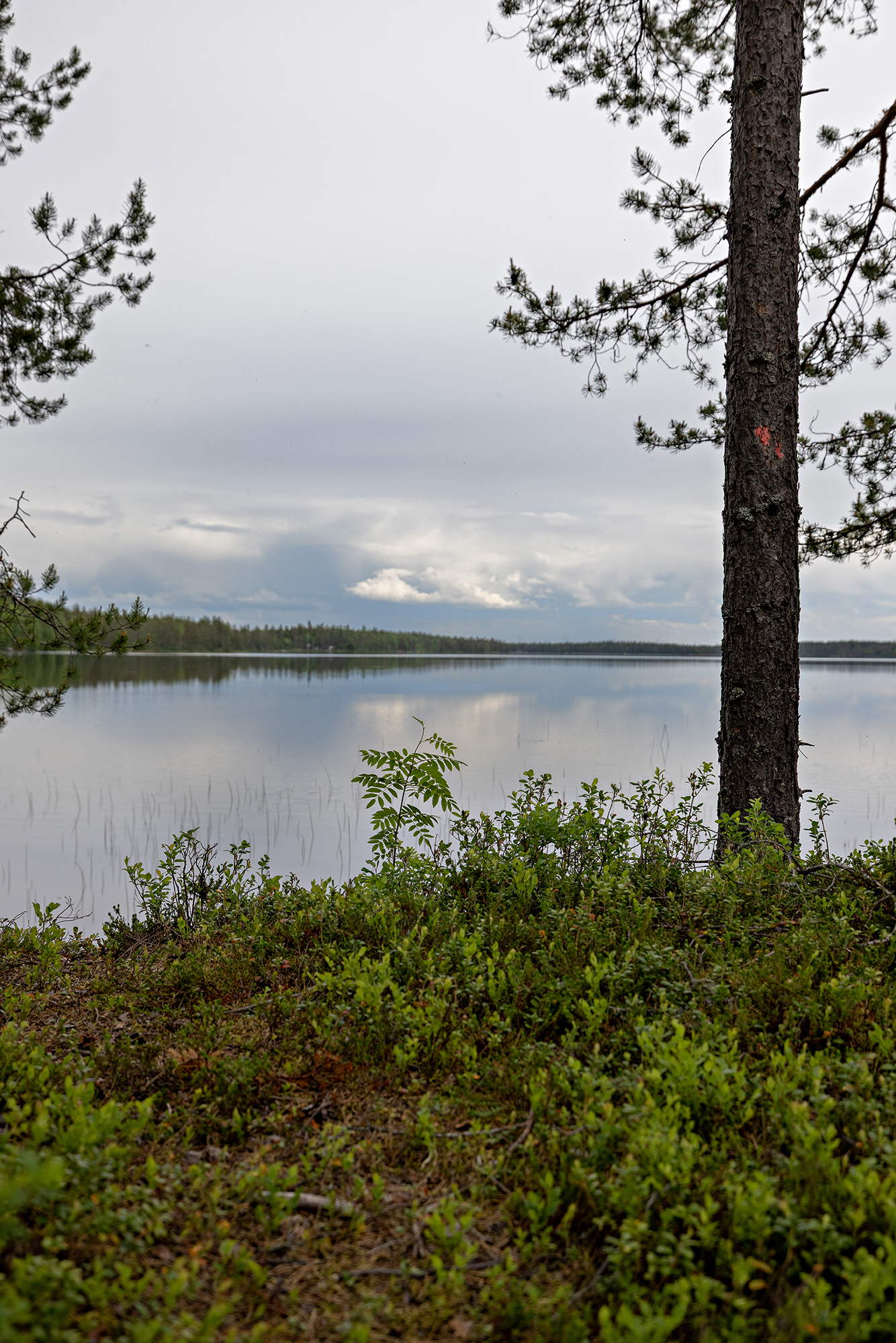 Mustakummuntie 106, Yli-Ii, Oulu