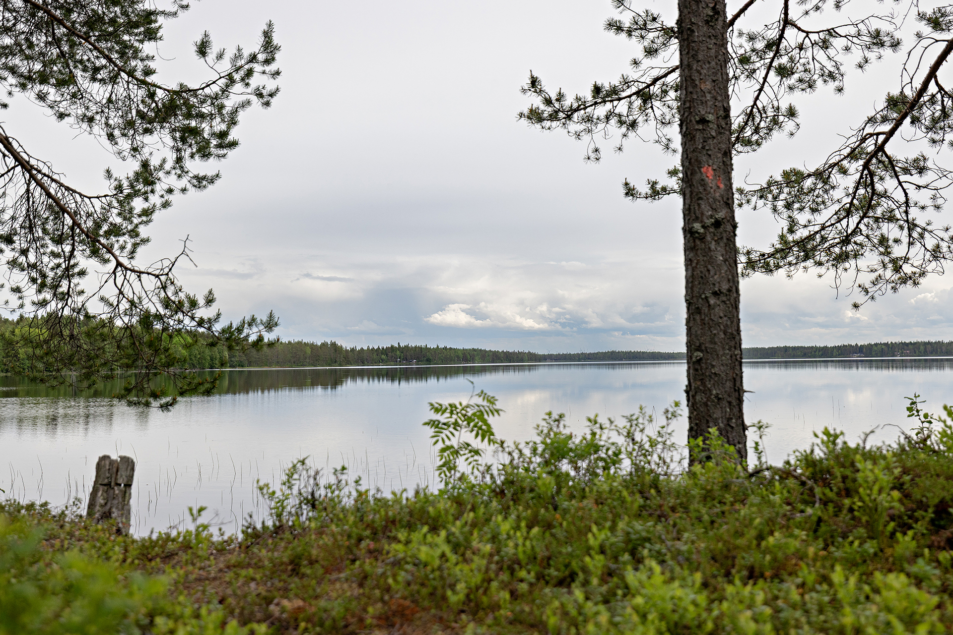 Mustakummuntie 106, Yli-Ii, Oulu
