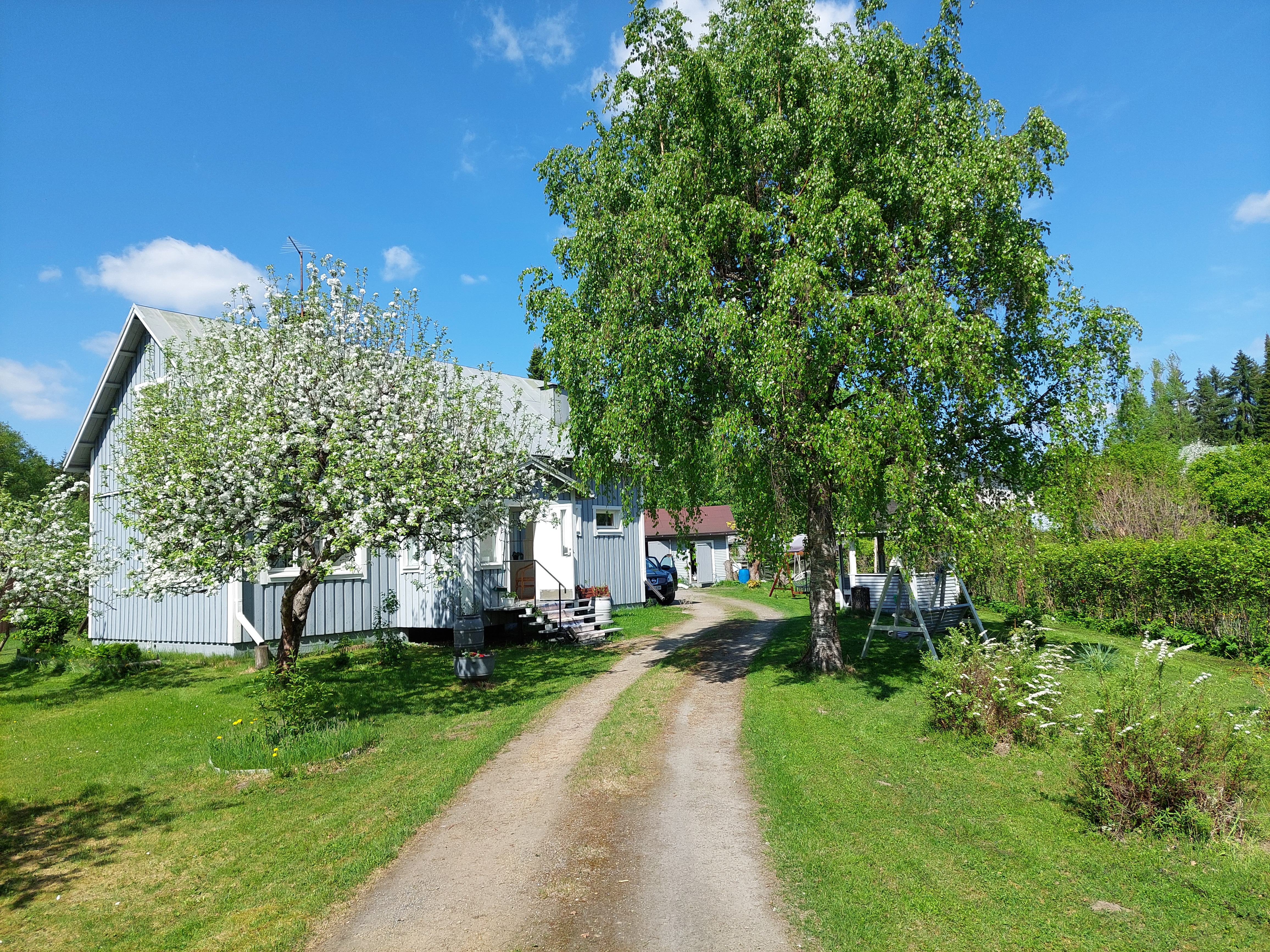 myyjän ottamia kesäkuvia