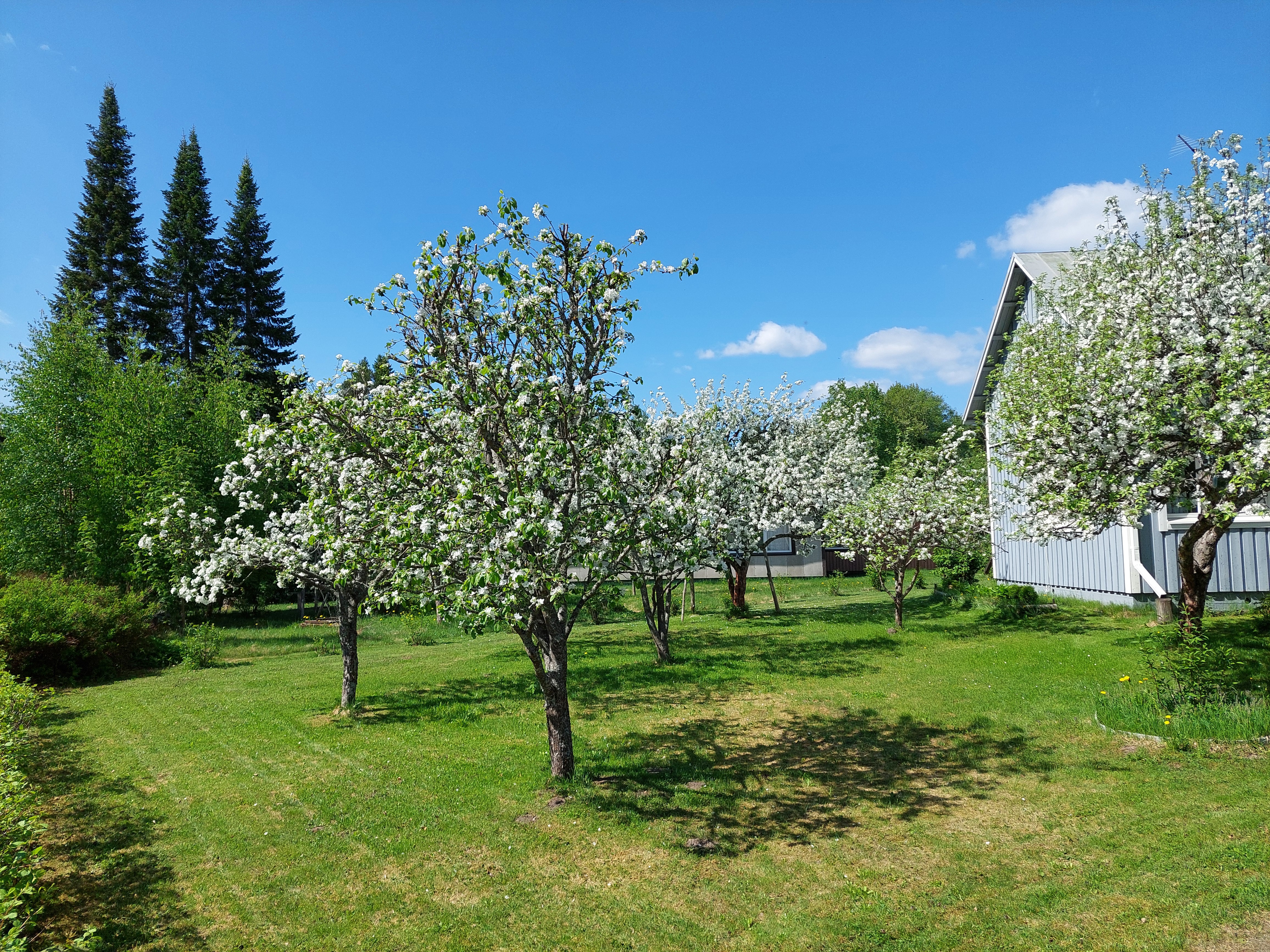 Rakentajantie 8, Mikkeli, Mikkeli