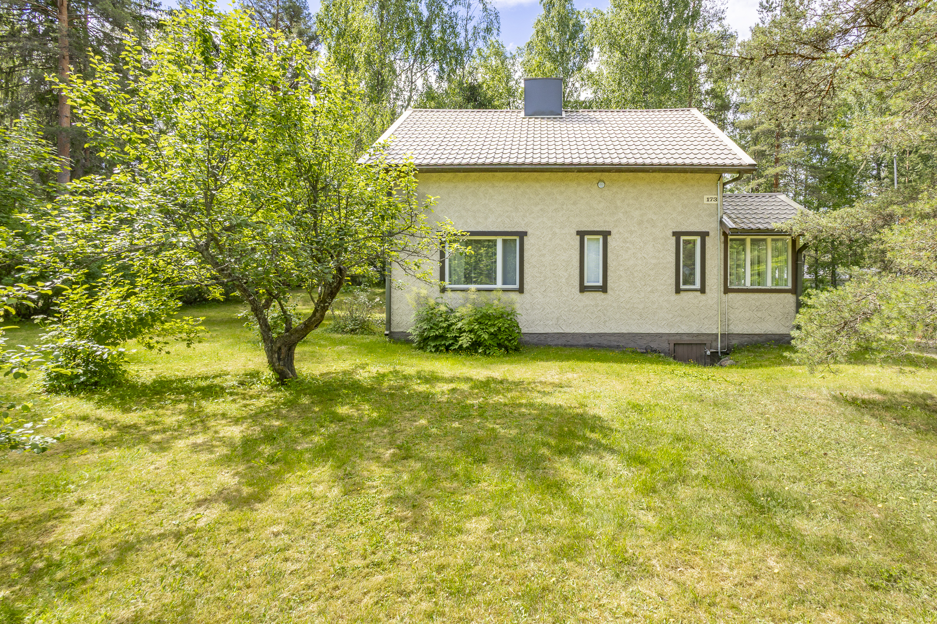 Iso, vehreä piha, jossa mm. omenapuita ja marjapensaita