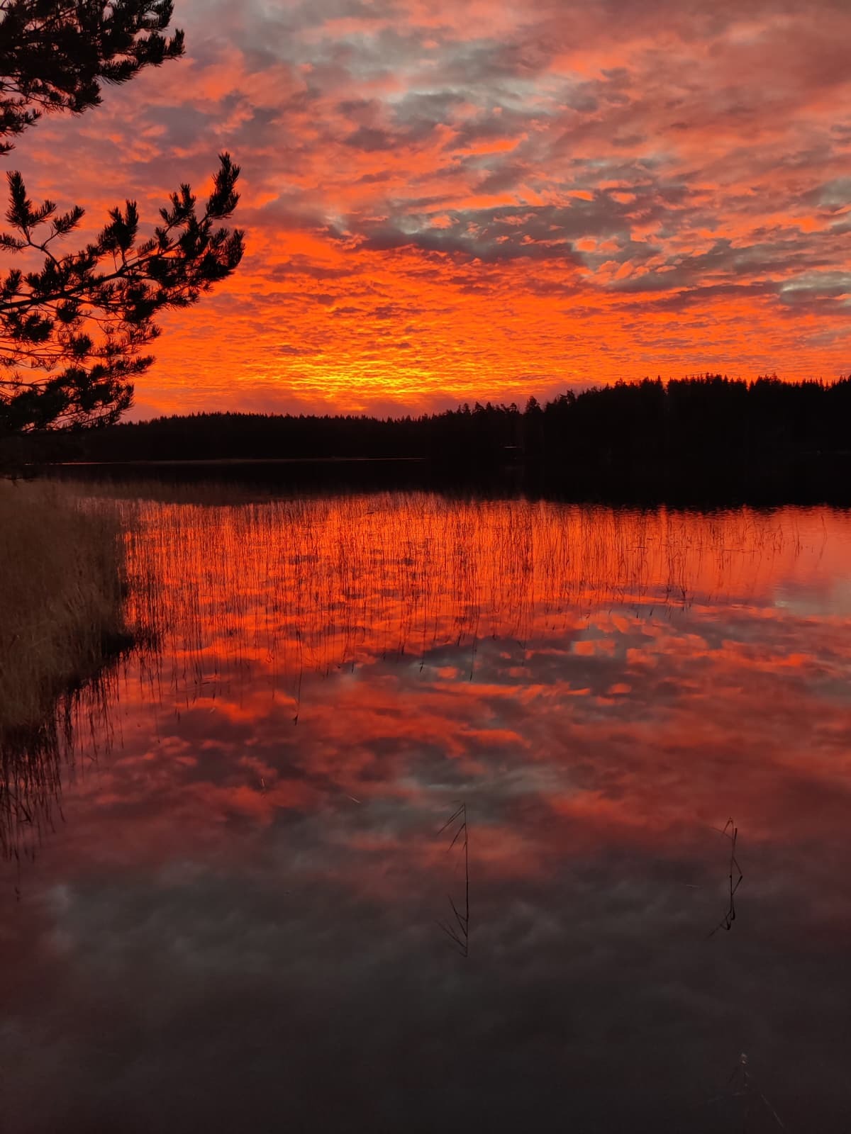 Rautjärventie 30, Auttoinen, Padasjoki