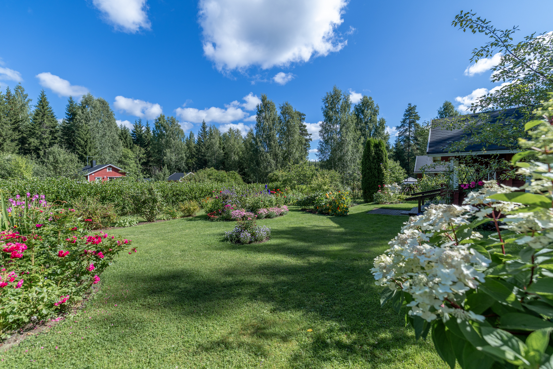 Siemenkodantie 1a palsta 9, Tikkala, Mikkeli