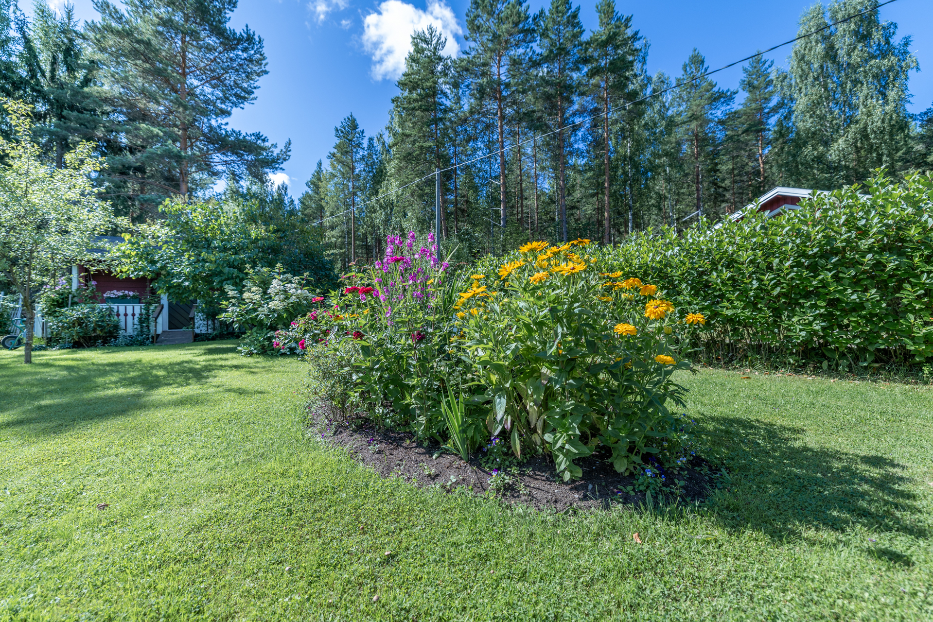 Siemenkodantie 1a palsta 9, Tikkala, Mikkeli
