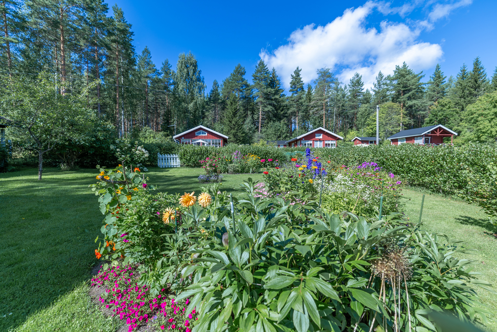 Siemenkodantie 1a palsta 9, Tikkala, Mikkeli