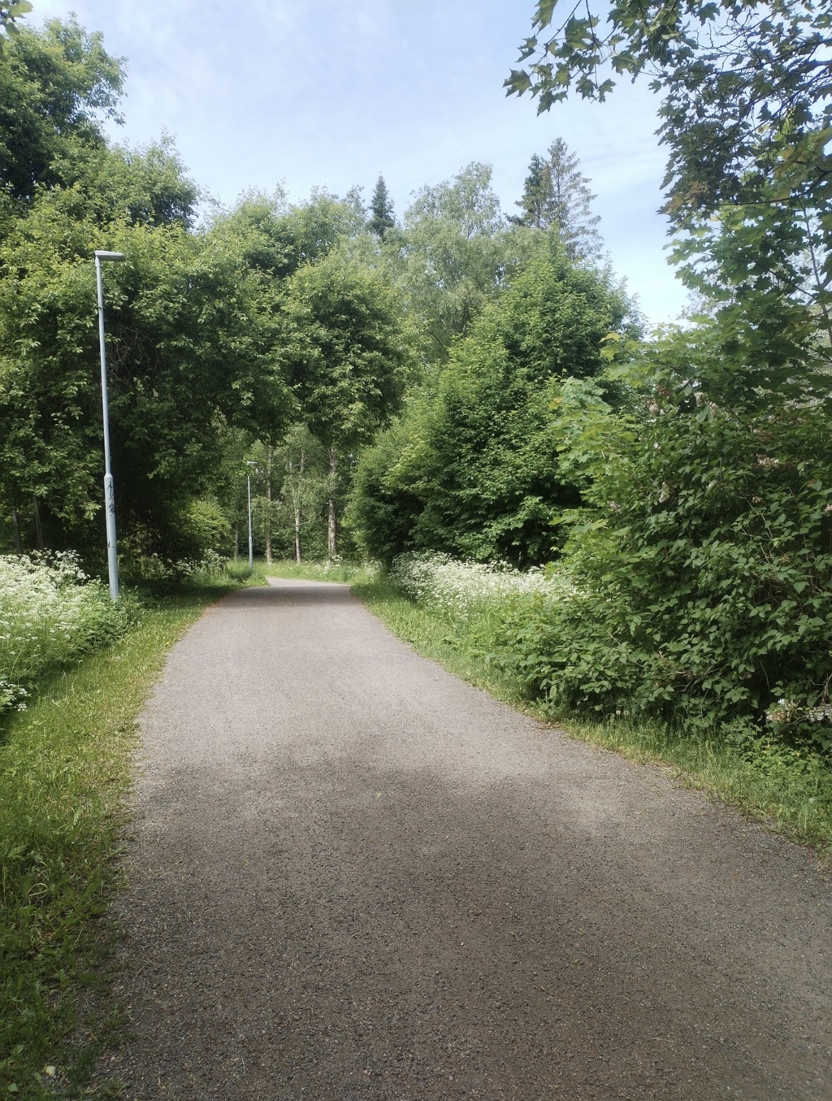 joenrannan kävelytie