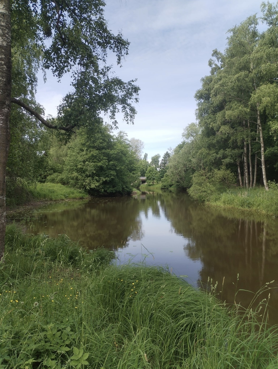 joenrantaa