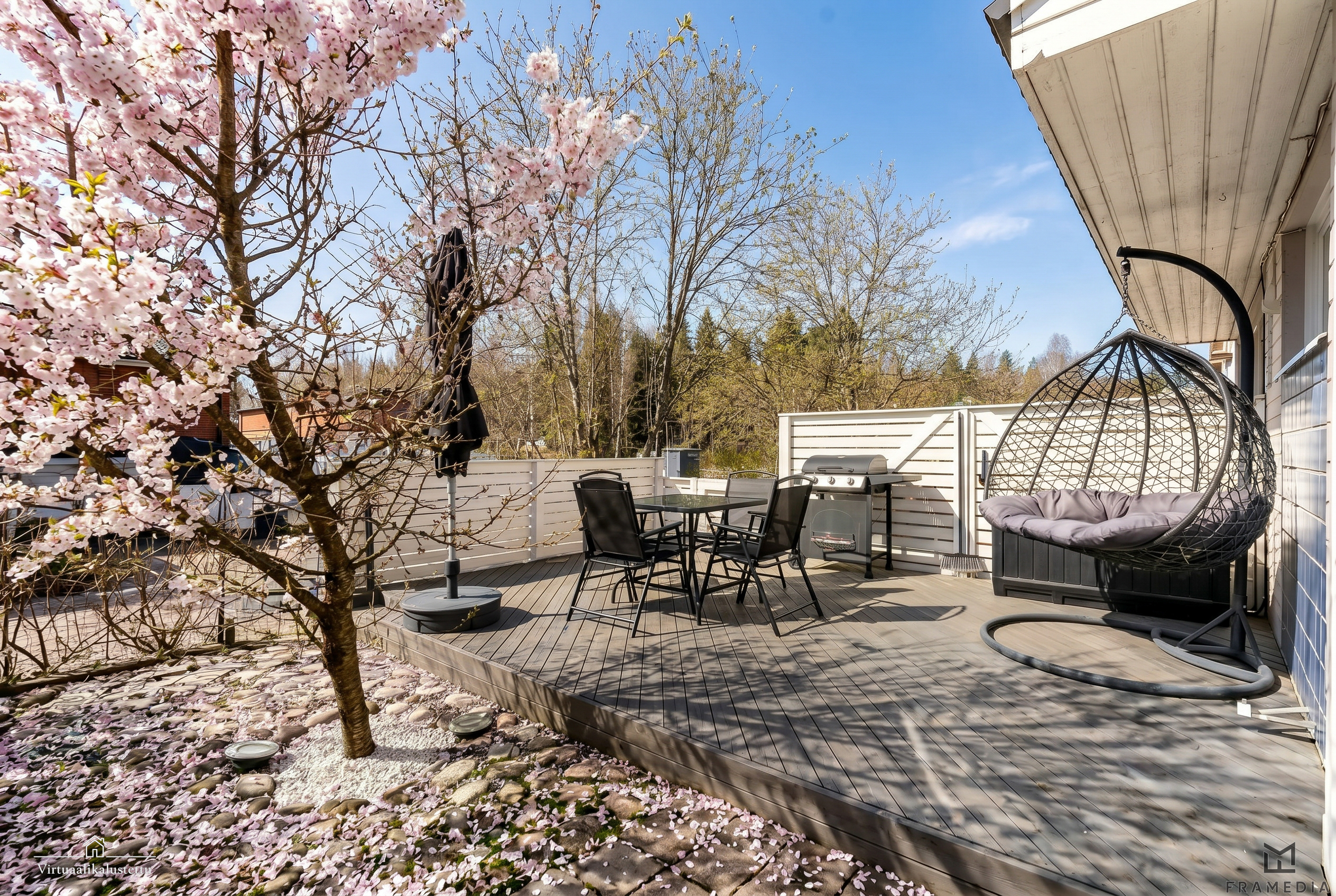 Kirsikkapuu kukkii pian. Kuvaa käsitelty tekoälyn avulla.