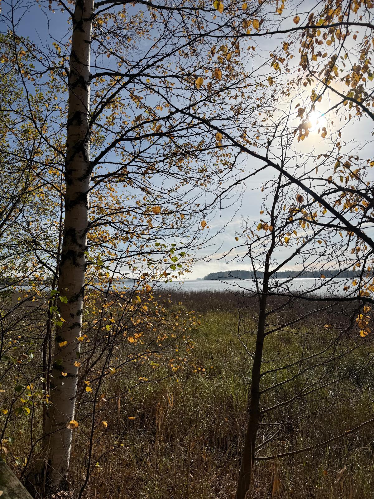 Lehtoniementie 47, Lehtoniemi, Varkaus