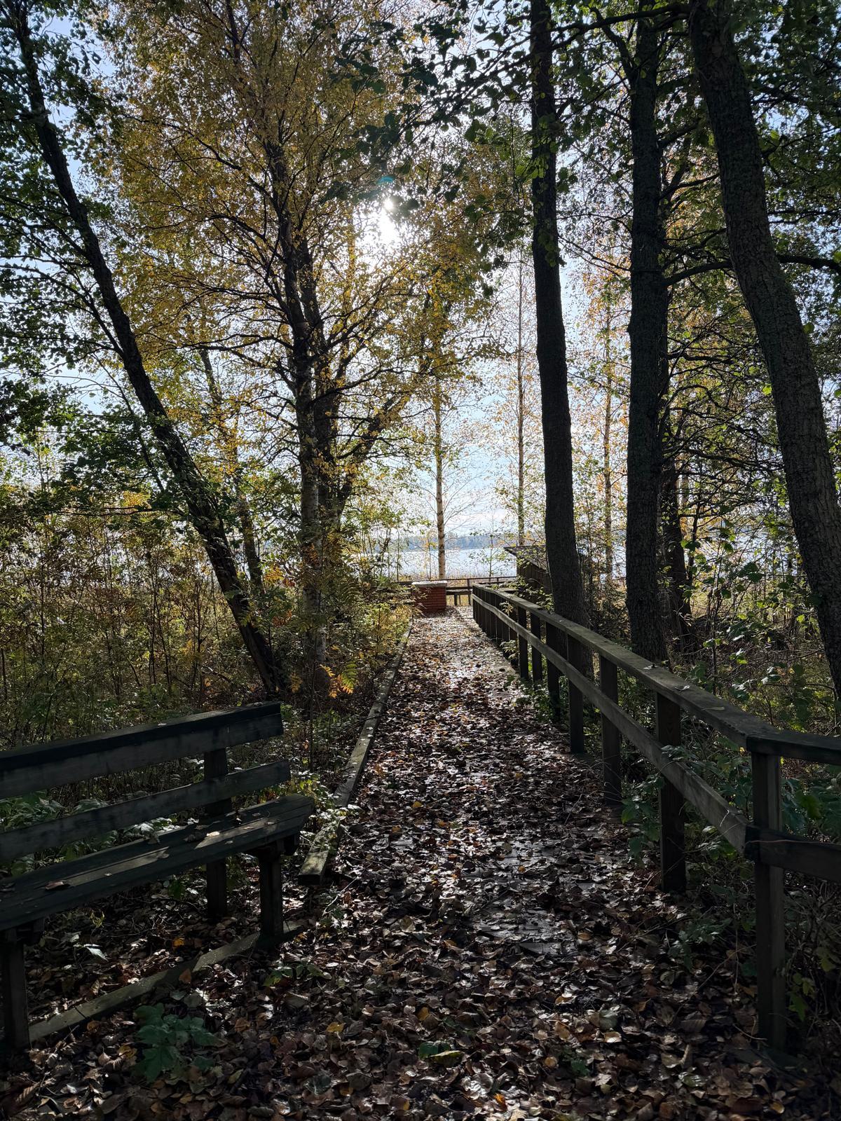 Lehtoniementie 47, Lehtoniemi, Varkaus