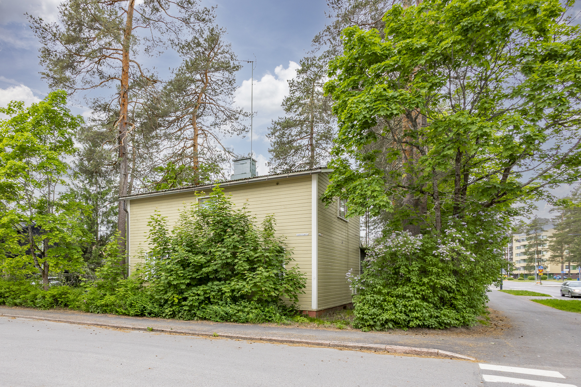 puusto suojana kesäaikaan