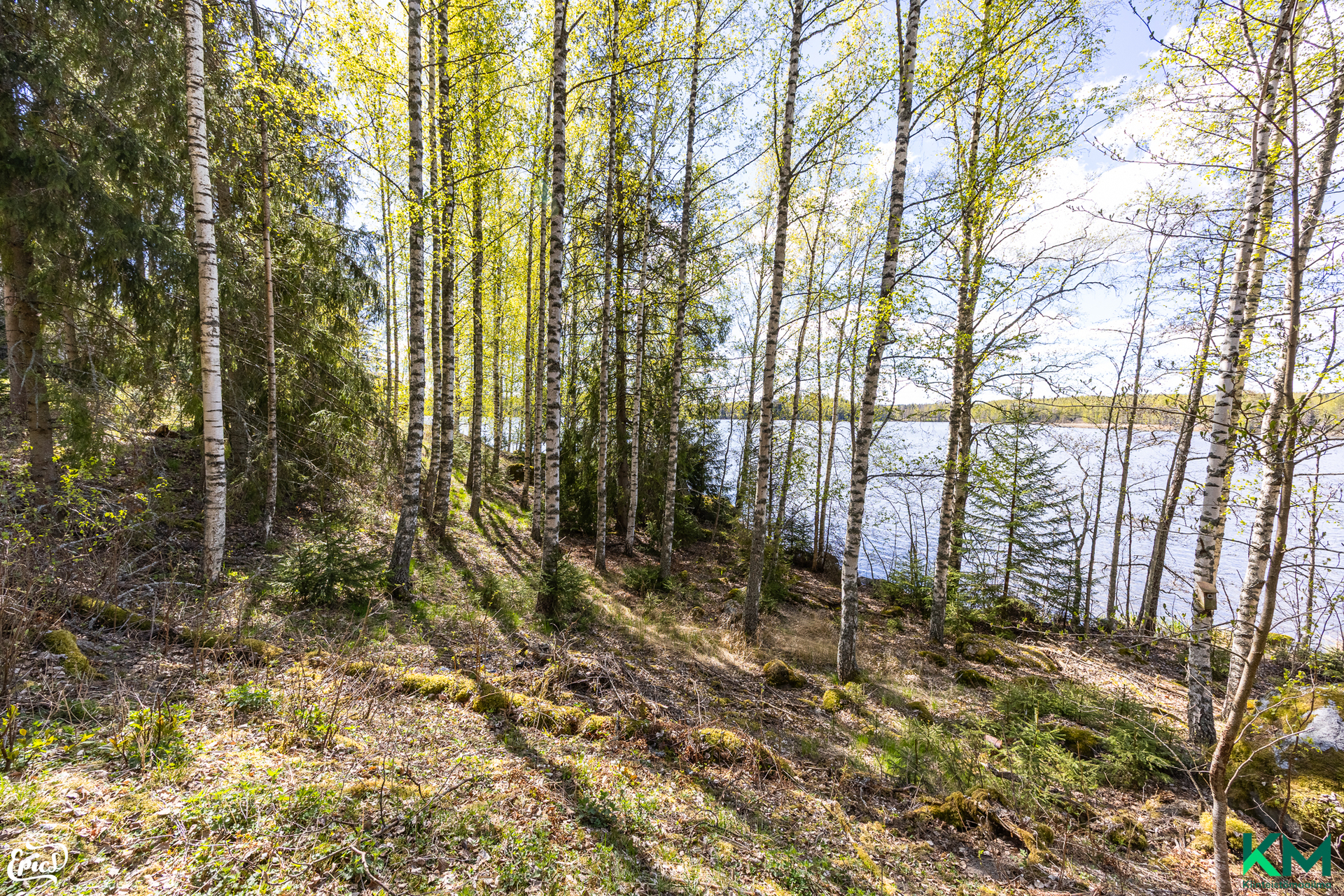 Mustiinsaari 20, Palho, Vesilahti