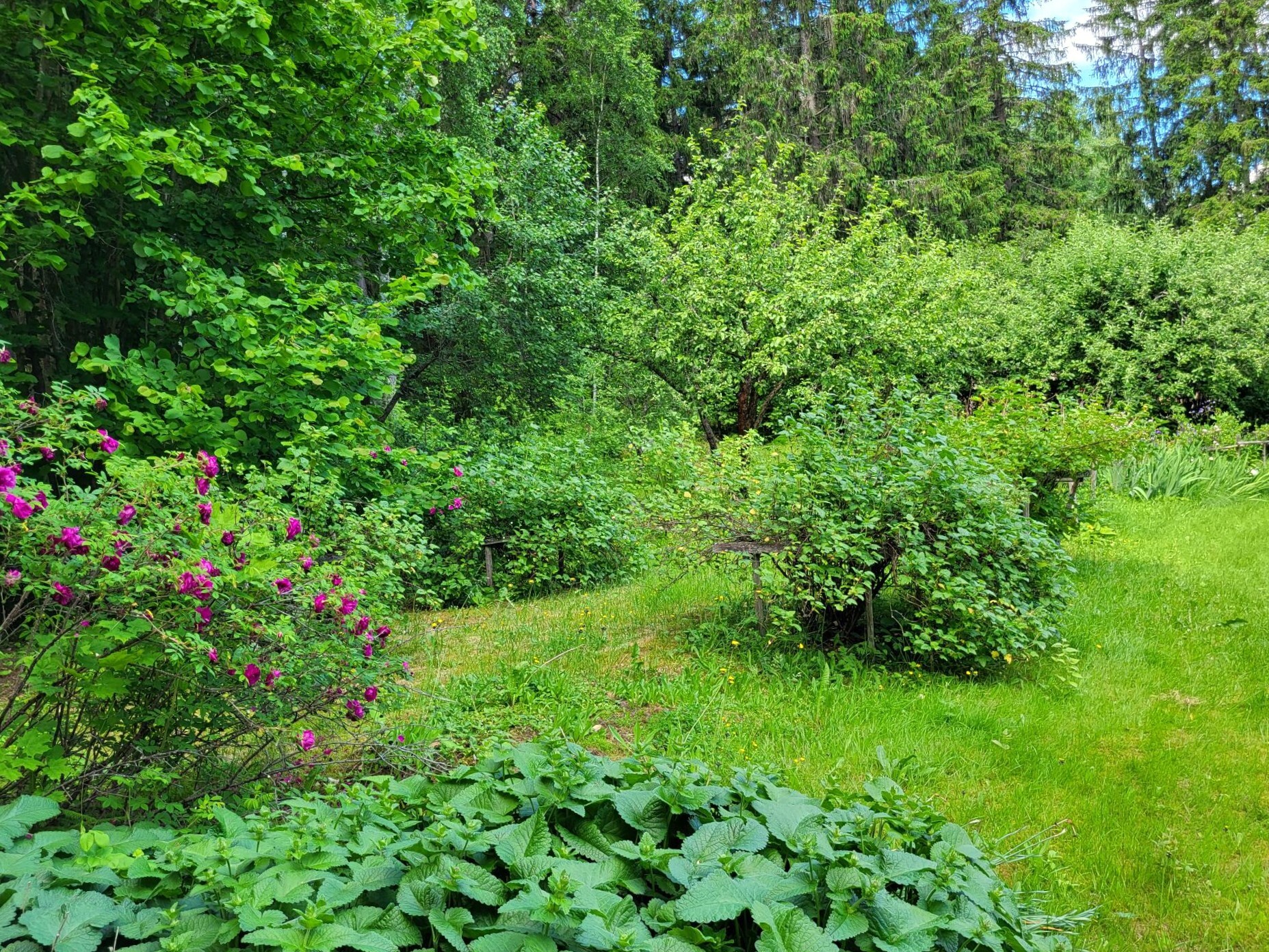 Pilkanmaantie 84 , Kouvola