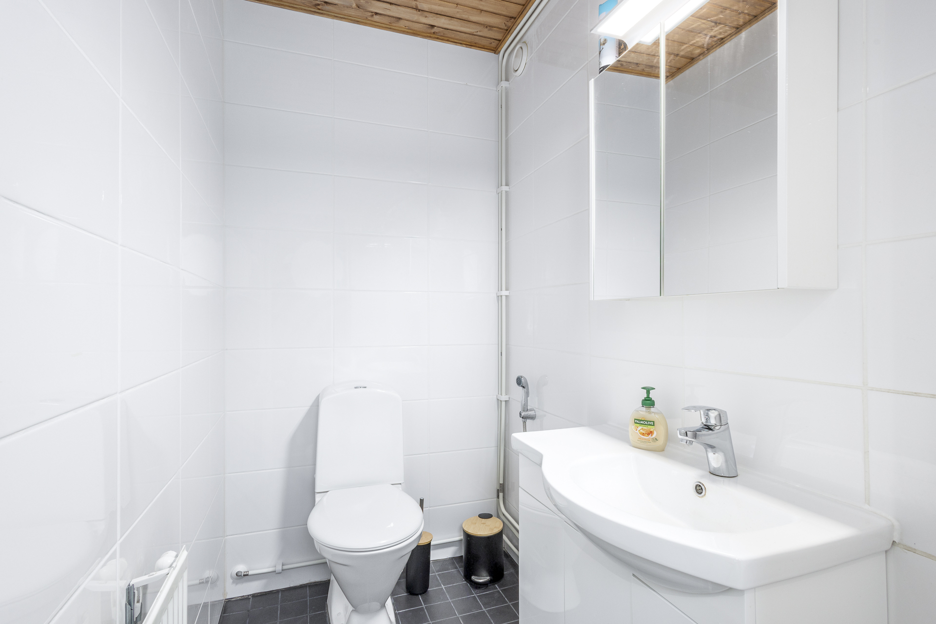 Erillinen wc