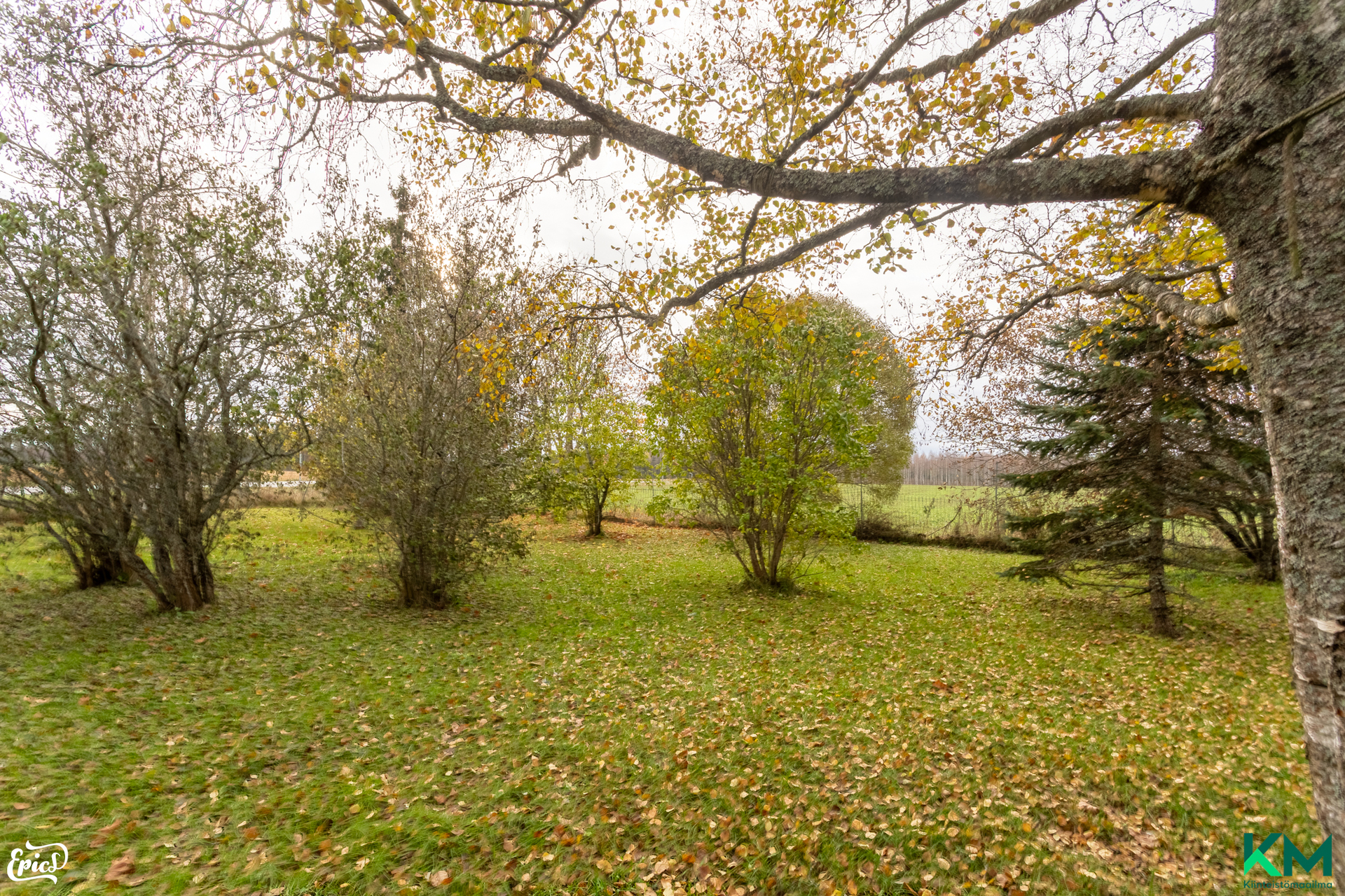 Hiukkastentie 2, Hämeenkyrö
