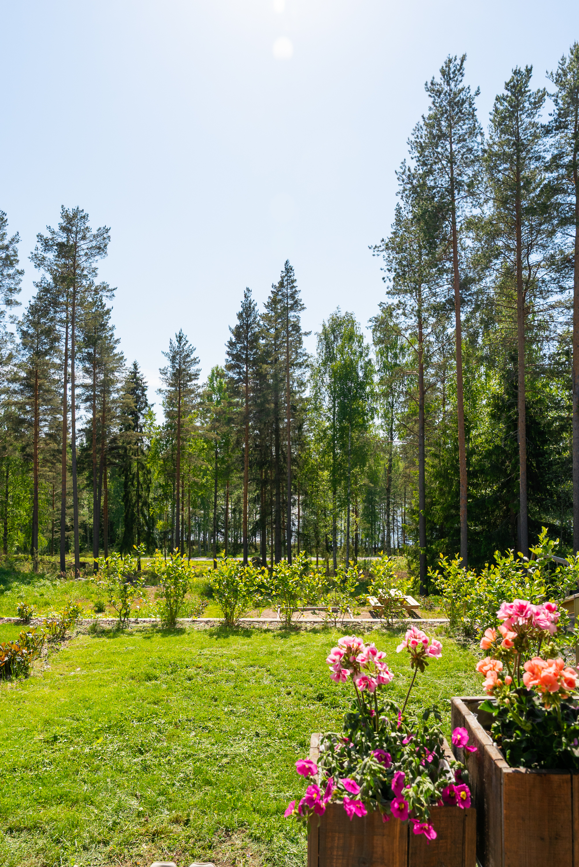 Sääkslahdentie 10, Sarvivuori, Jyväskylä
