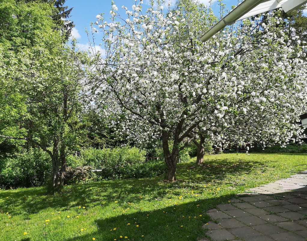 Palomäentie 14, Kirveskoski, Pornainen