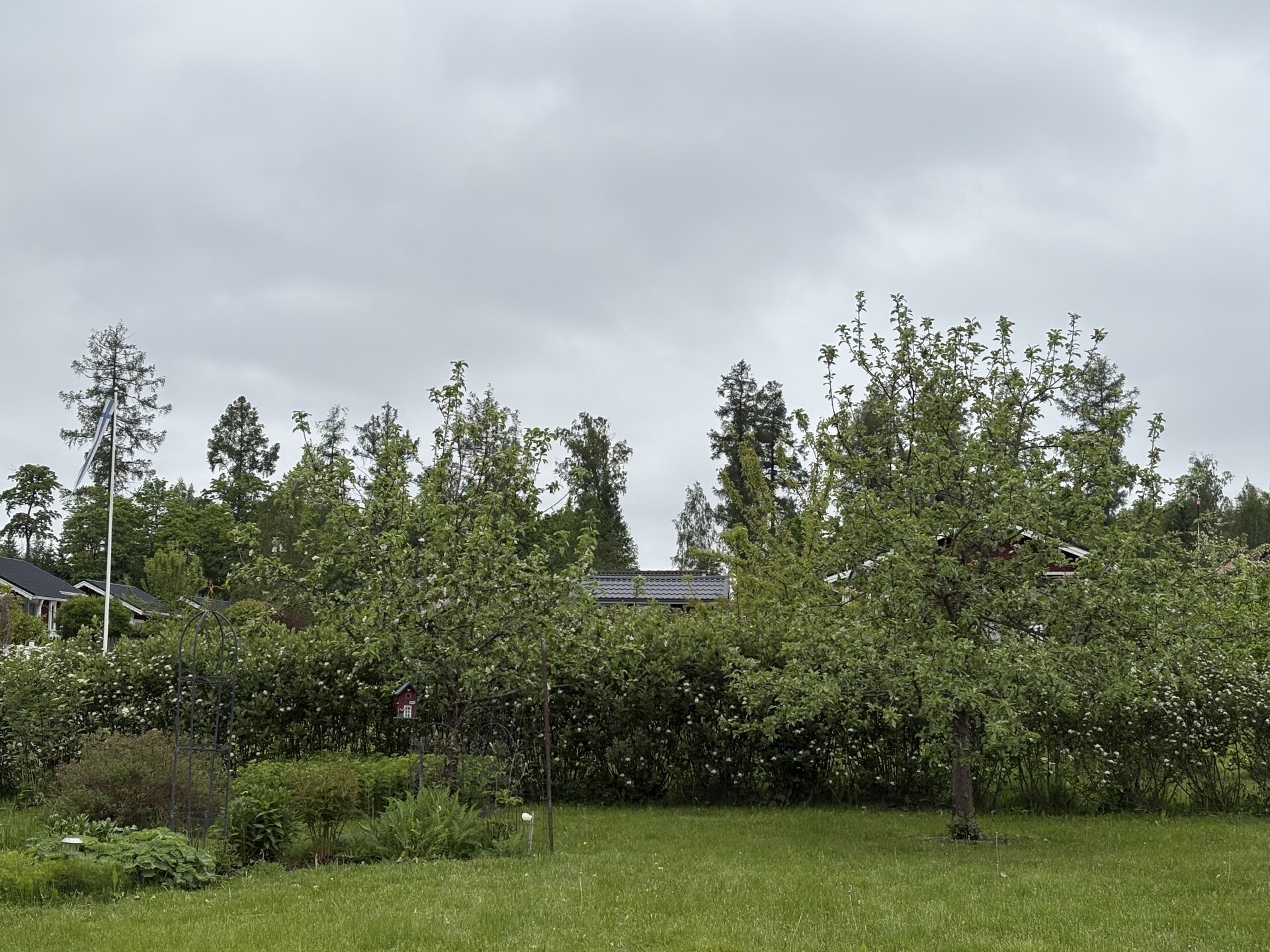 Lehtikuusentie 50, Savijärvi, Sipoo