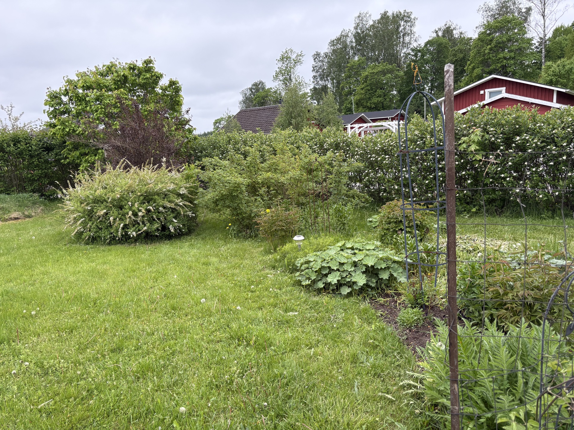 Lehtikuusentie 50, Savijärvi, Sipoo