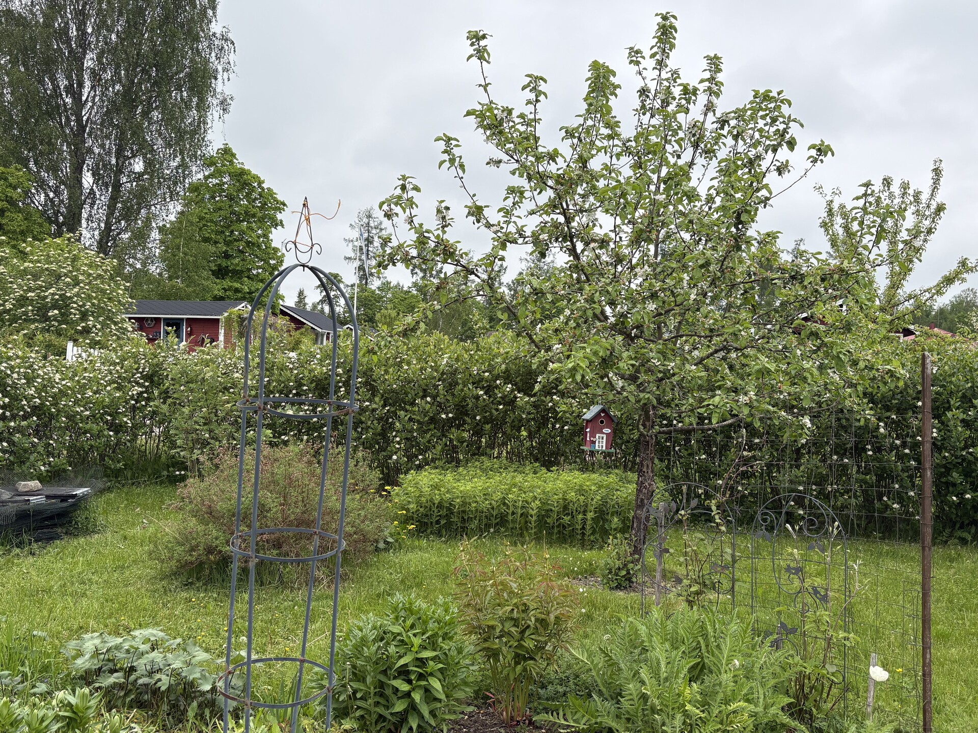 Lehtikuusentie 50, Savijärvi, Sipoo