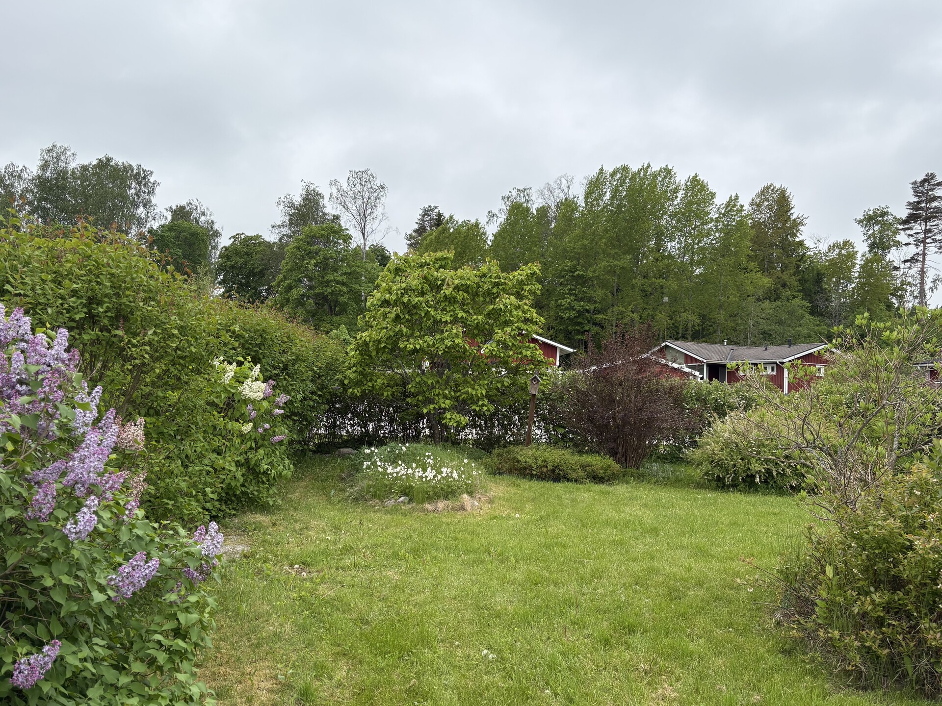 Lehtikuusentie 50, Savijärvi, Sipoo