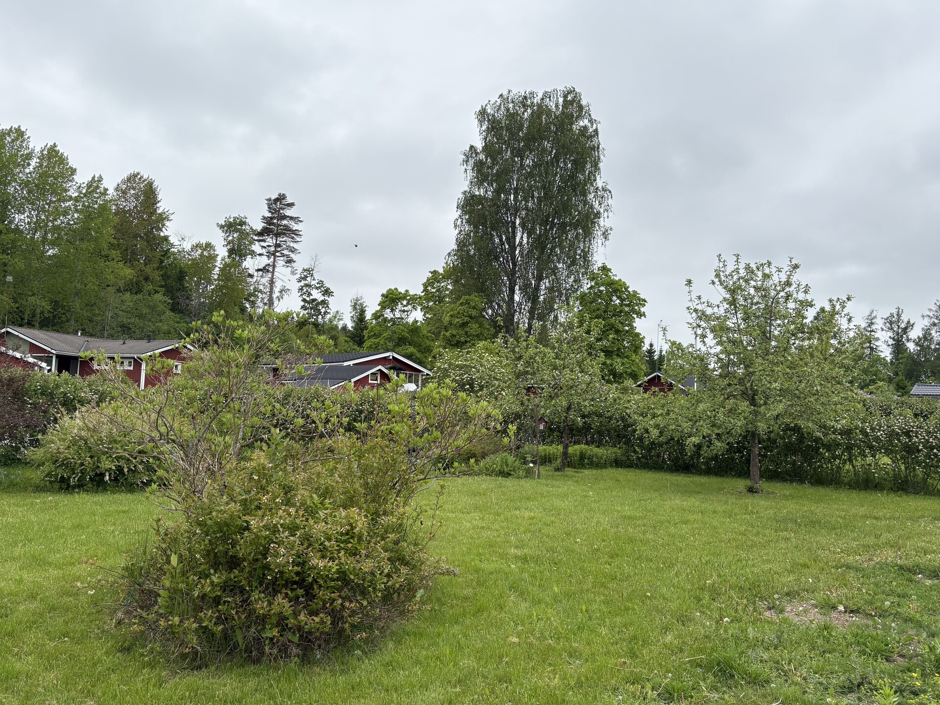 Lehtikuusentie 50, Savijärvi, Sipoo