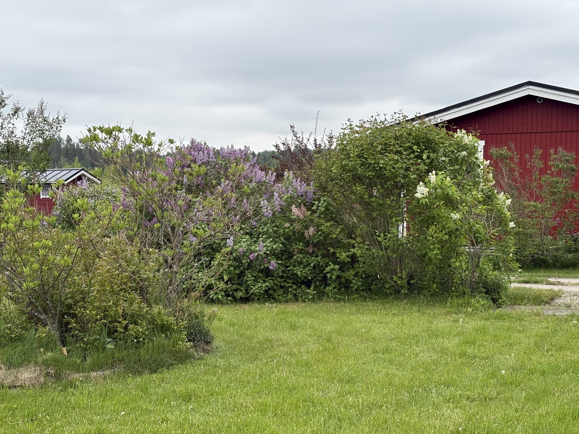 Lehtikuusentie 50, Savijärvi, Sipoo