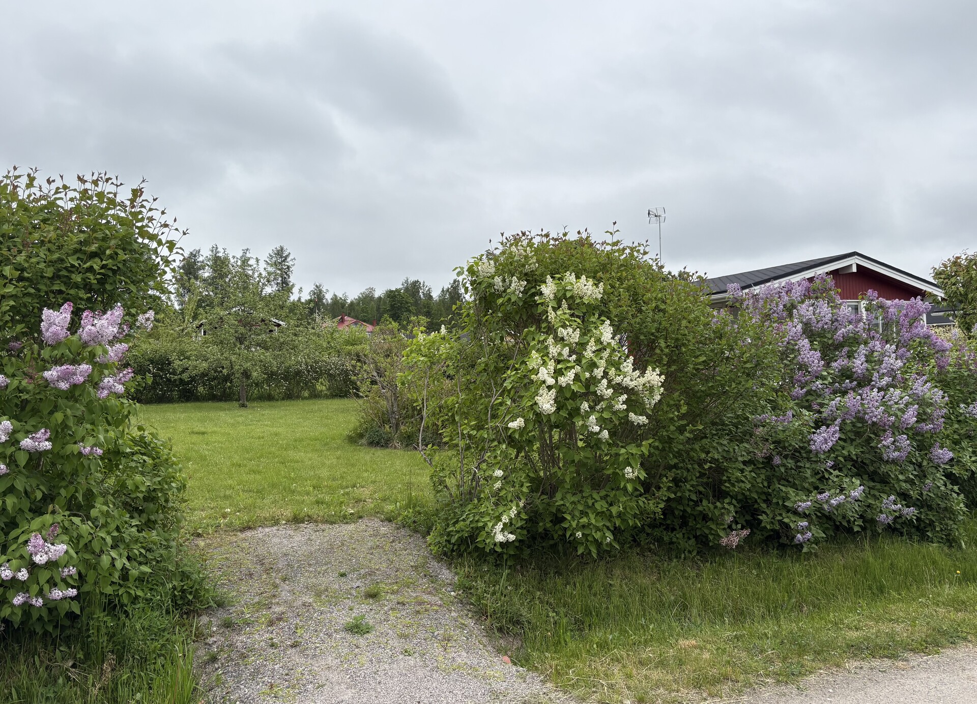 Lehtikuusentie 50, Savijärvi, Sipoo