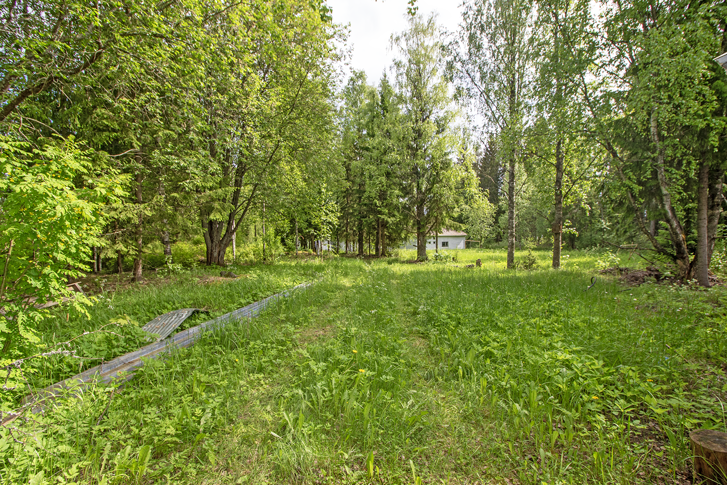 Jynkänniementie 214, Siilinjärvi