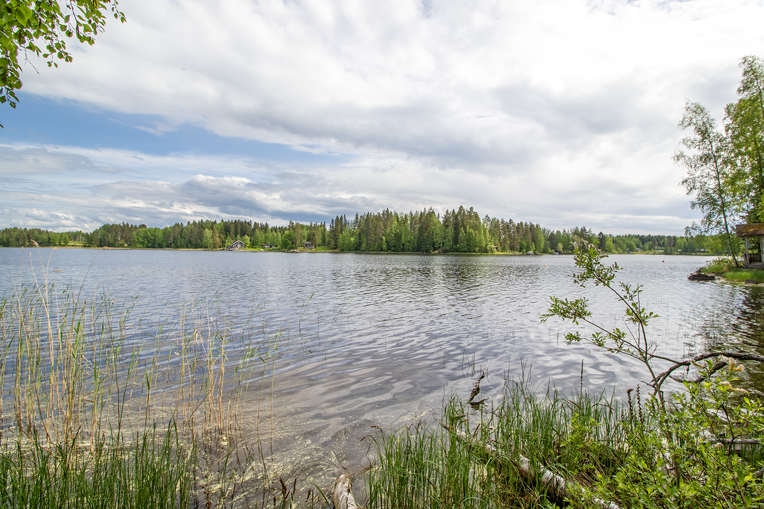 Jynkänniementie 214, Siilinjärvi