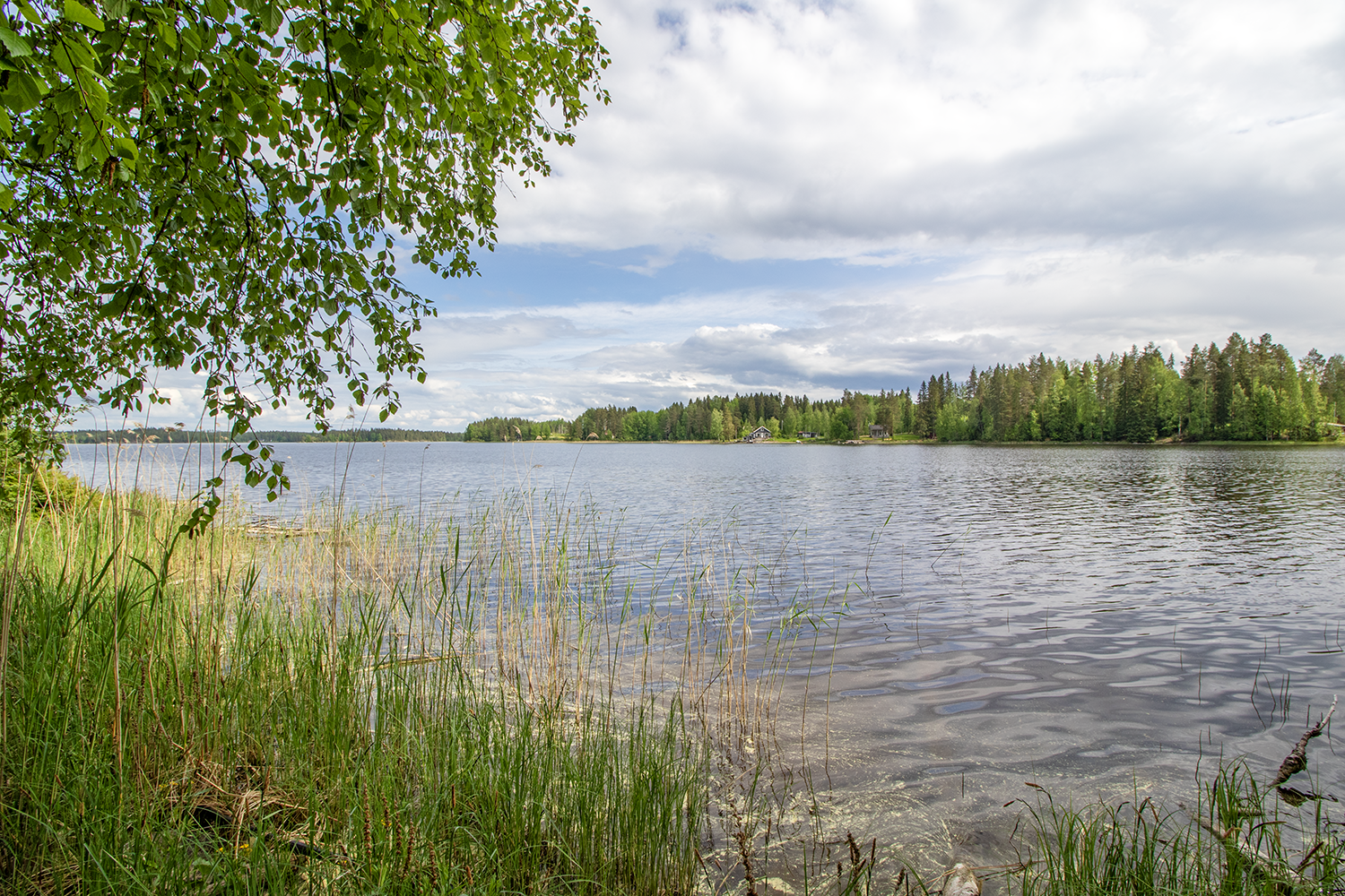Jynkänniementie 214, Siilinjärvi