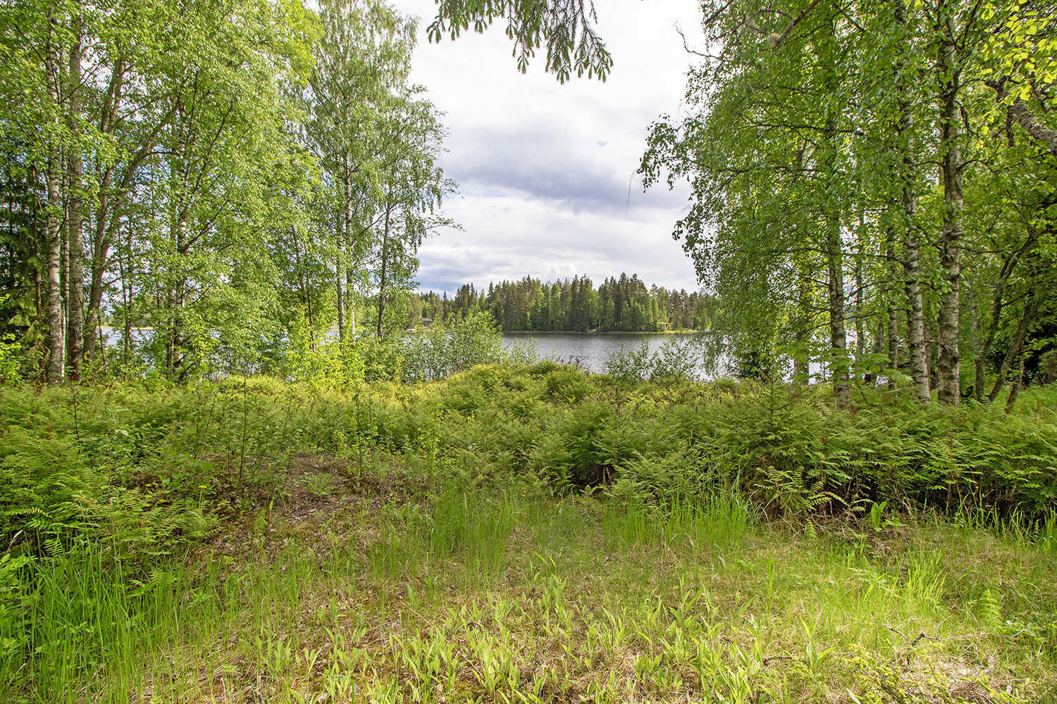 Jynkänniementie 214, Siilinjärvi