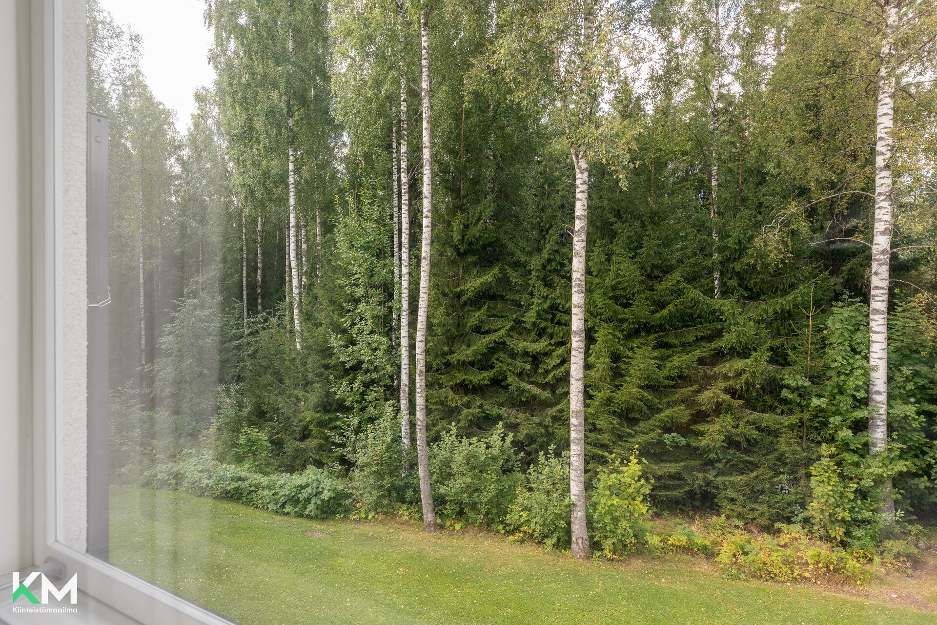 Kotikallio 5, Hollola