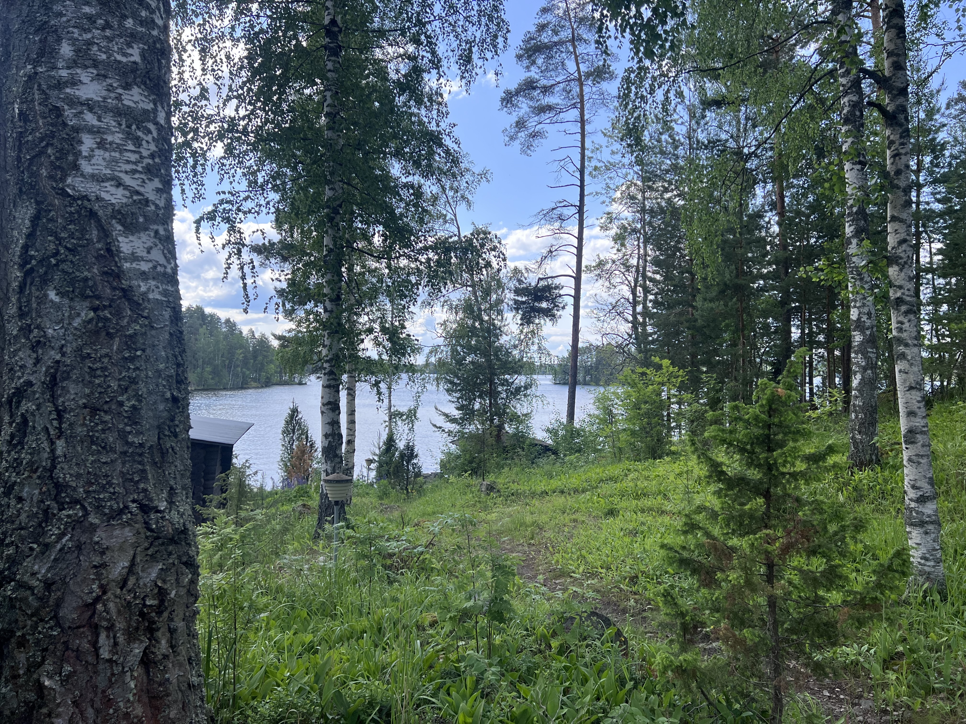 Maasaarentie 79c, Iitti