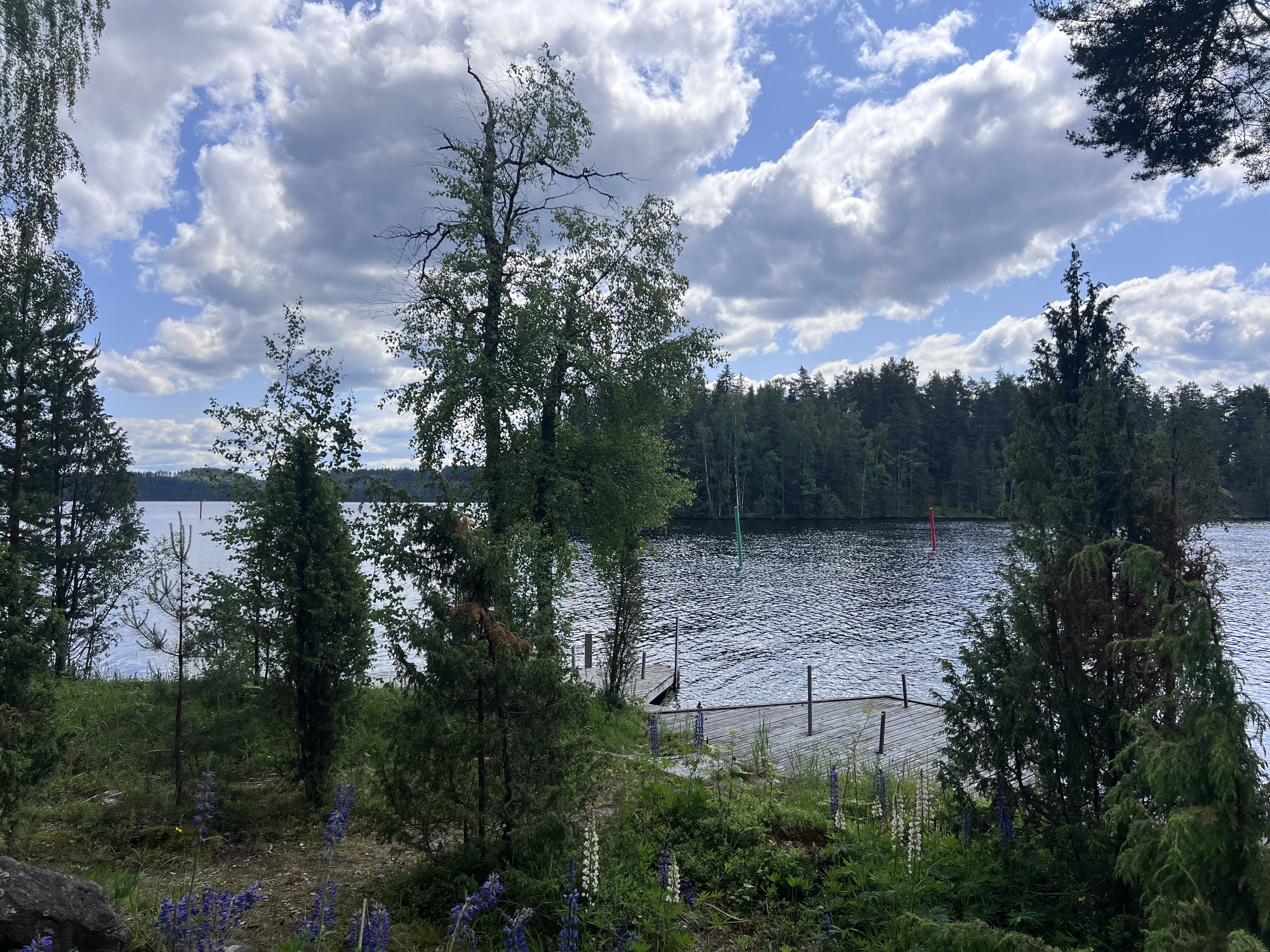 Maasaarentie 79c, Iitti