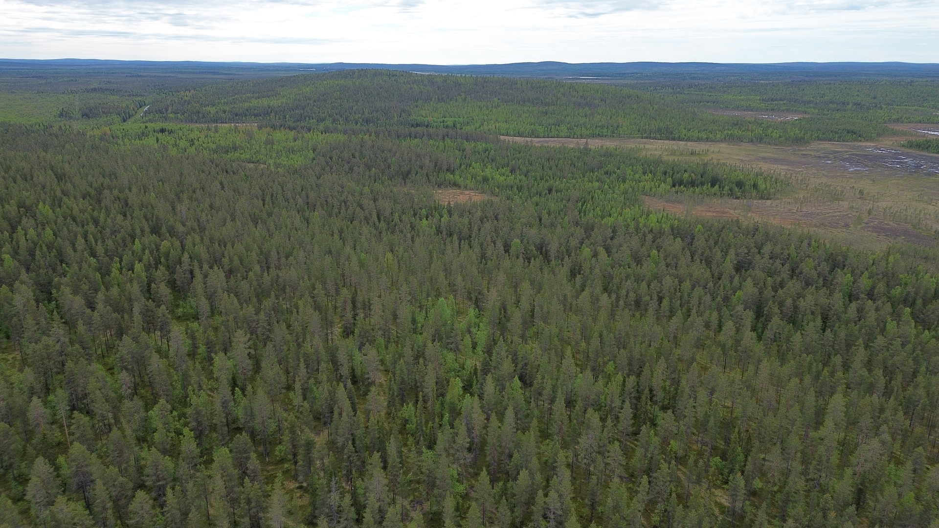 Säynäjärvenkumpu, lompolanjänkkä 1 ja 2, Sirkka