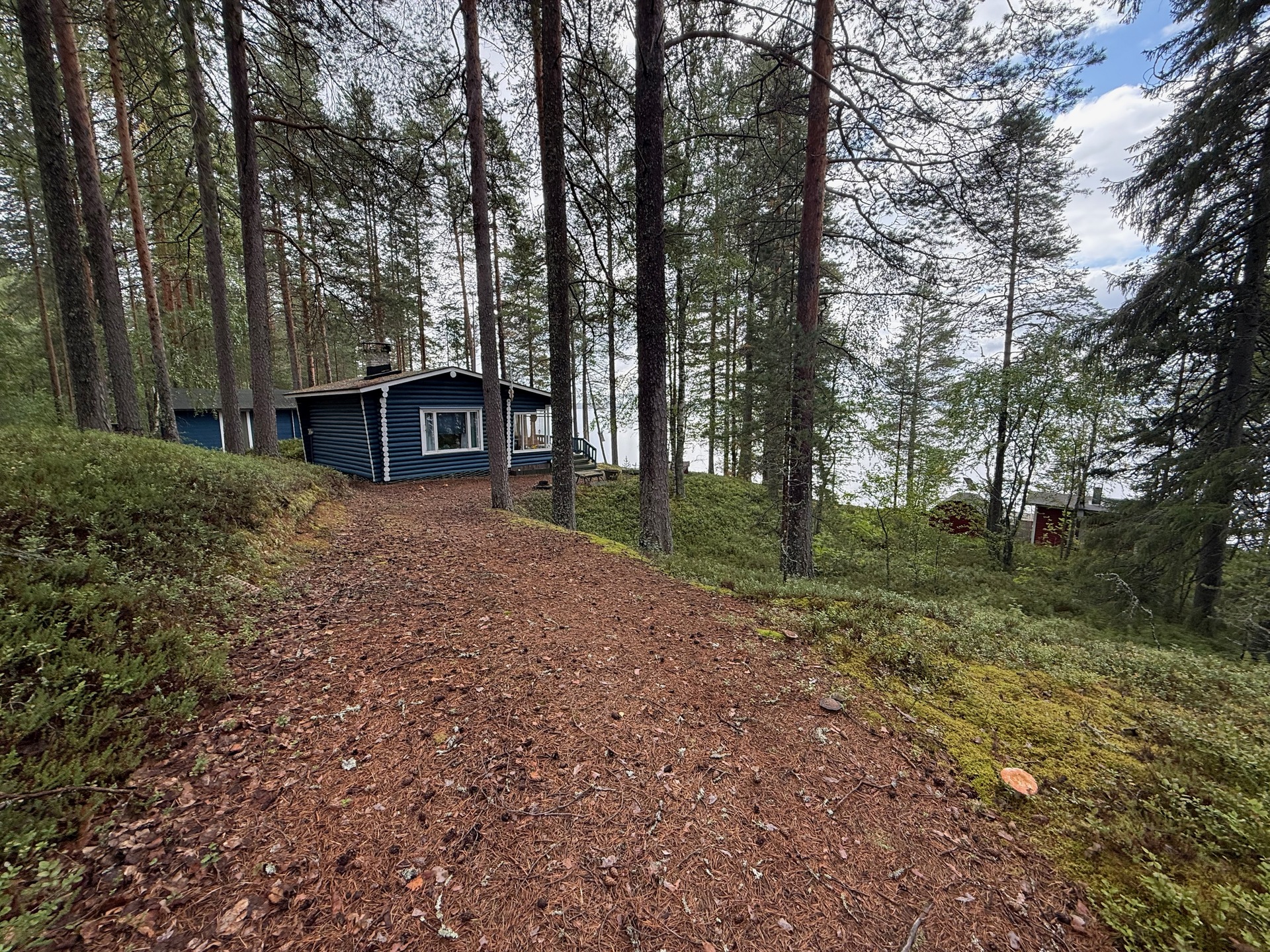 Eksyneenniementie 58, Kuhmo