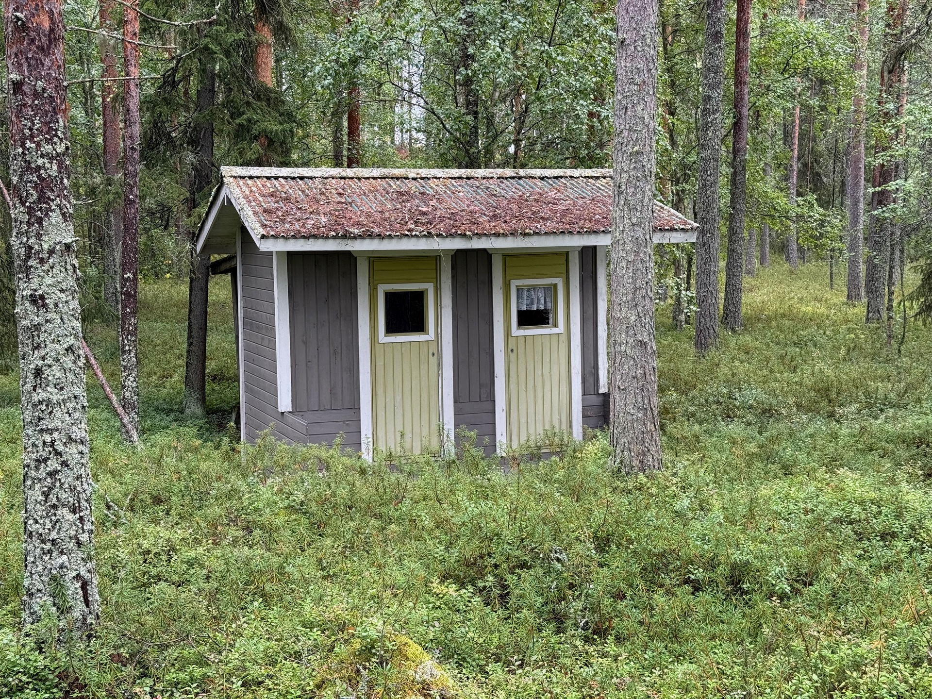 Eksyneenniementie 58, Kuhmo