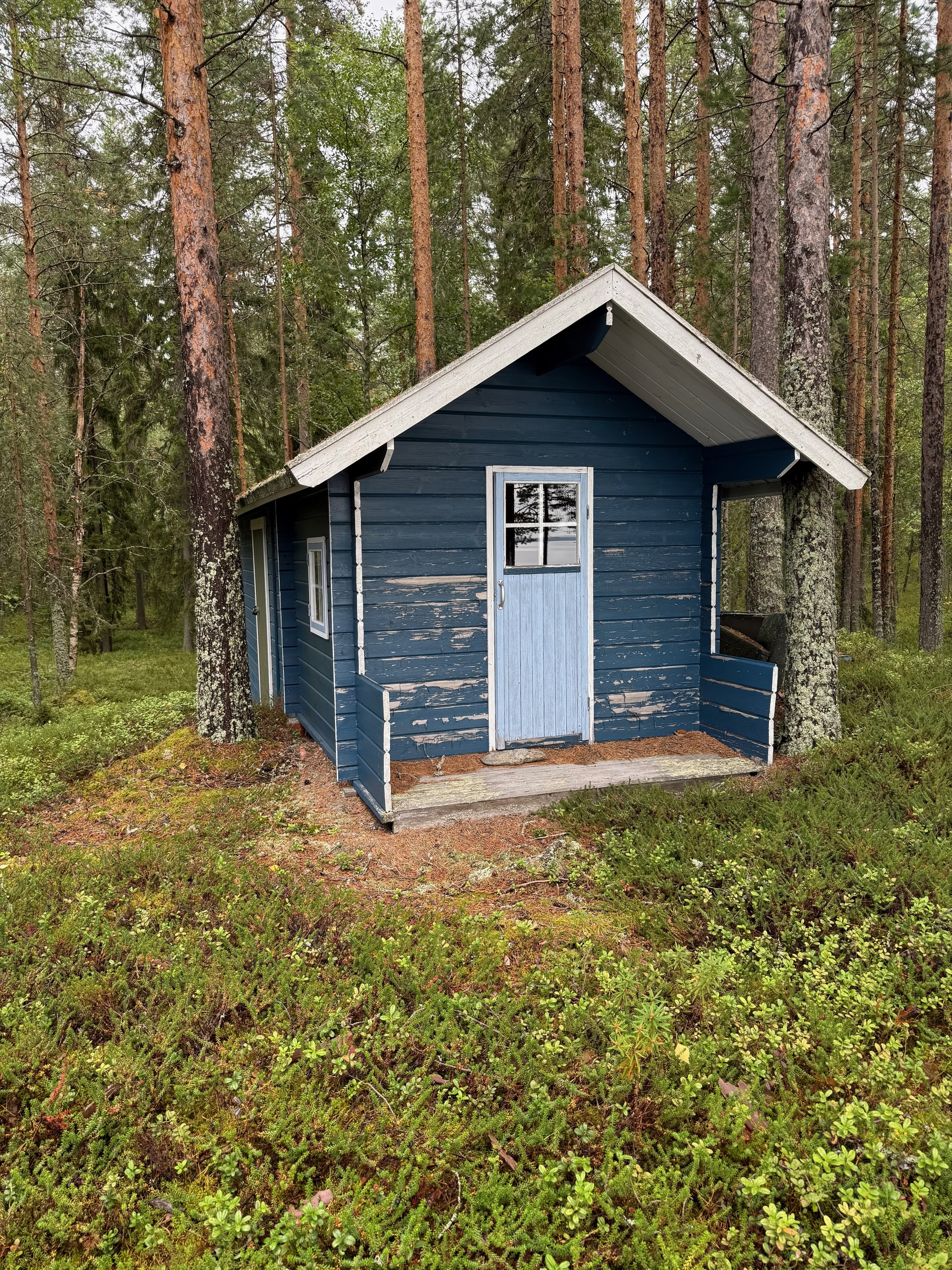 Eksyneenniementie 58, Kuhmo