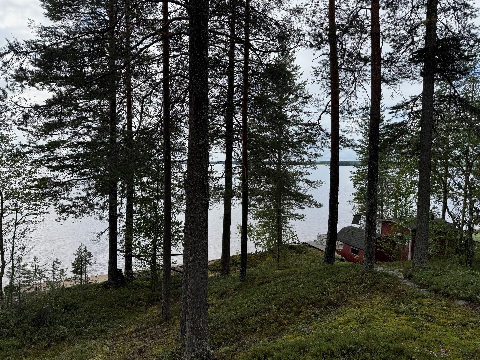 Eksyneenniementie 58, Kuhmo