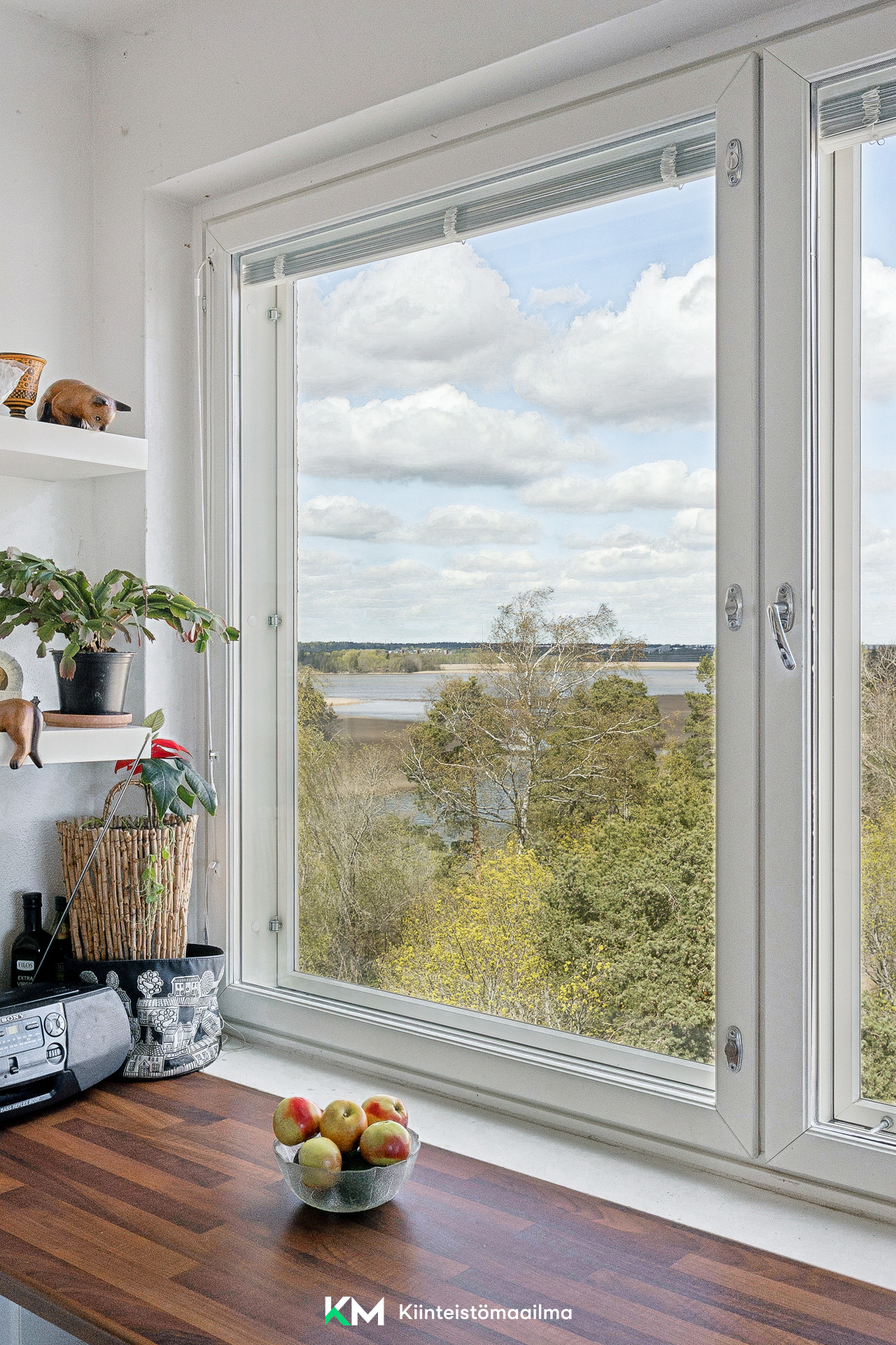 Keittiöikkunan maisemaa