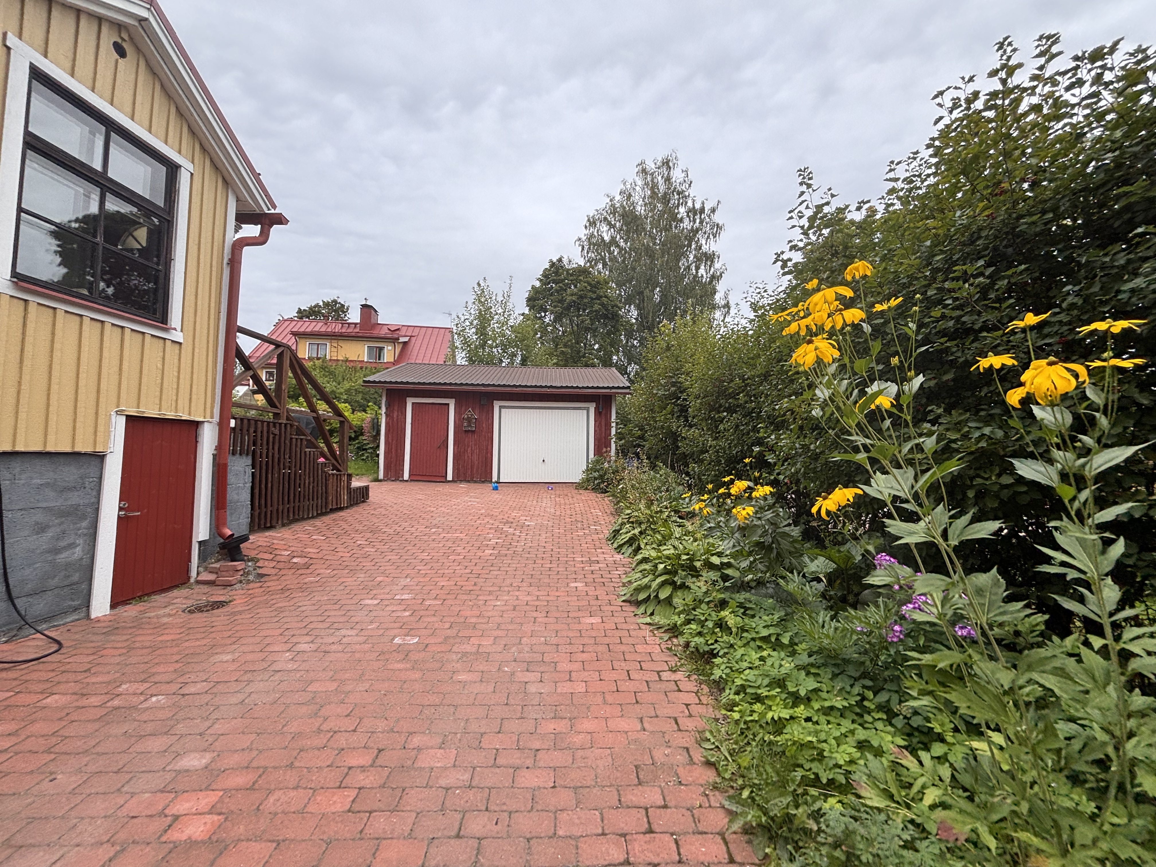 Myyjän ottamia kesäkuvia.