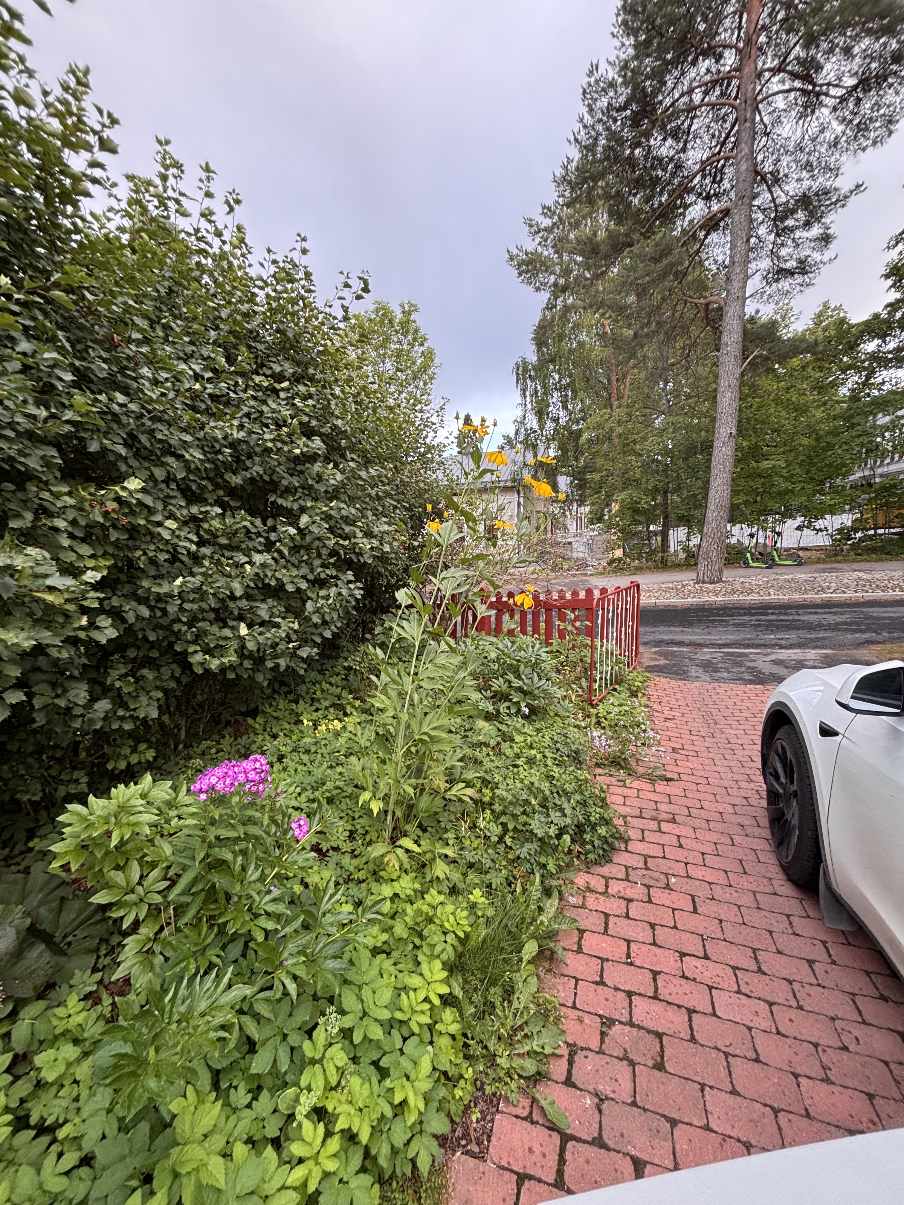 Myyjän ottamia kesäkuvia.