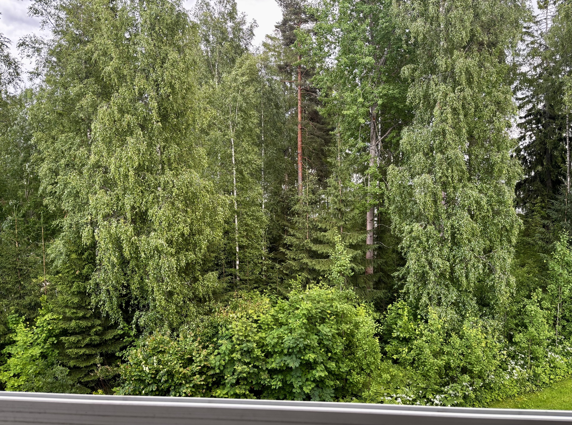 Kurpantie 2, Riihikallio, Tuusula