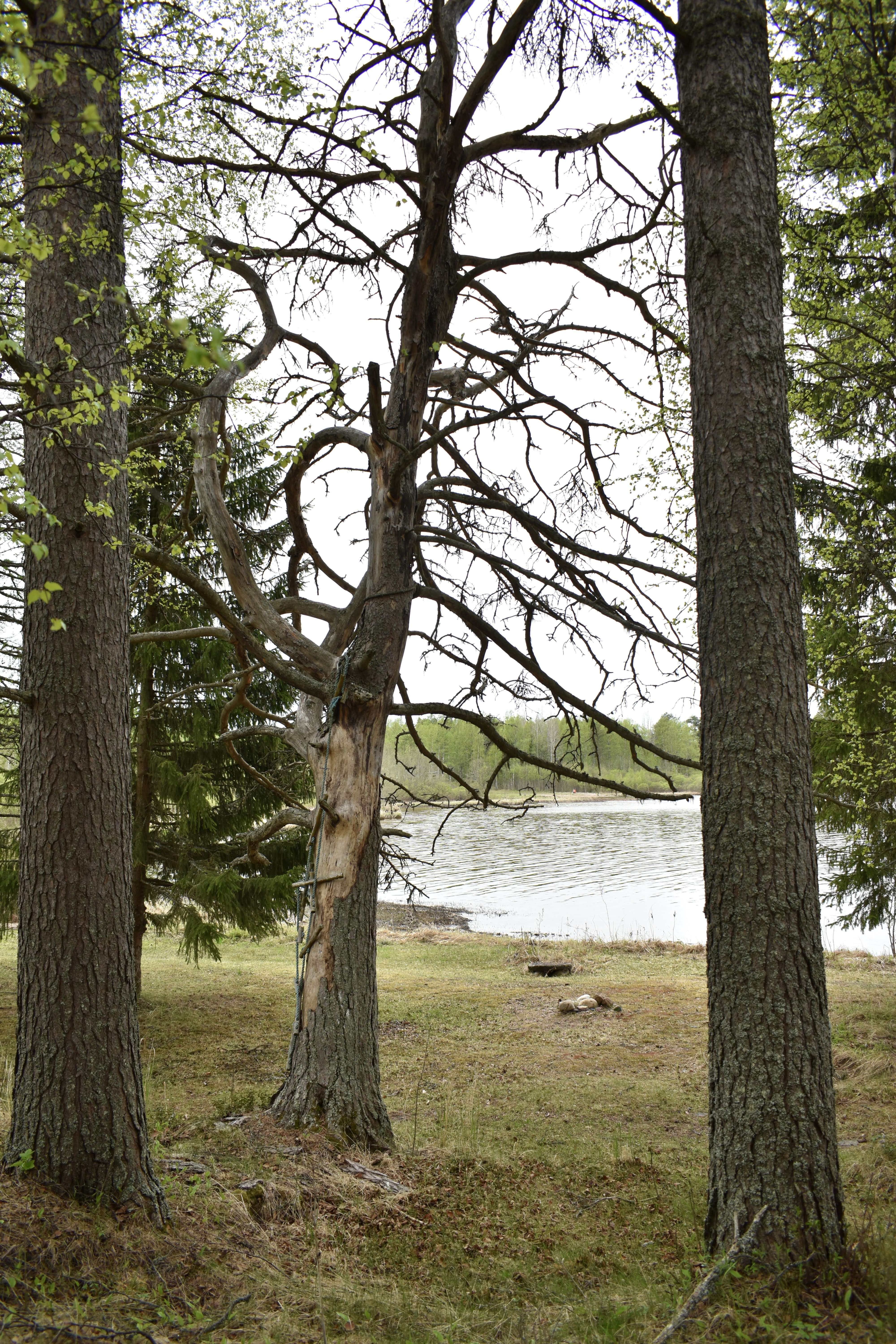 Toivonlahdentie 58, Vuottolahti, Kajaani