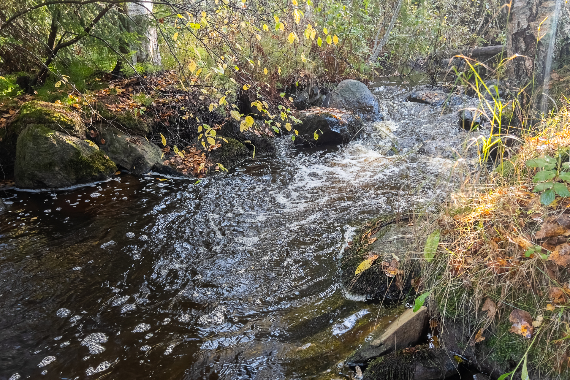 Velssintie 16, Siiri, Hämeenlinna