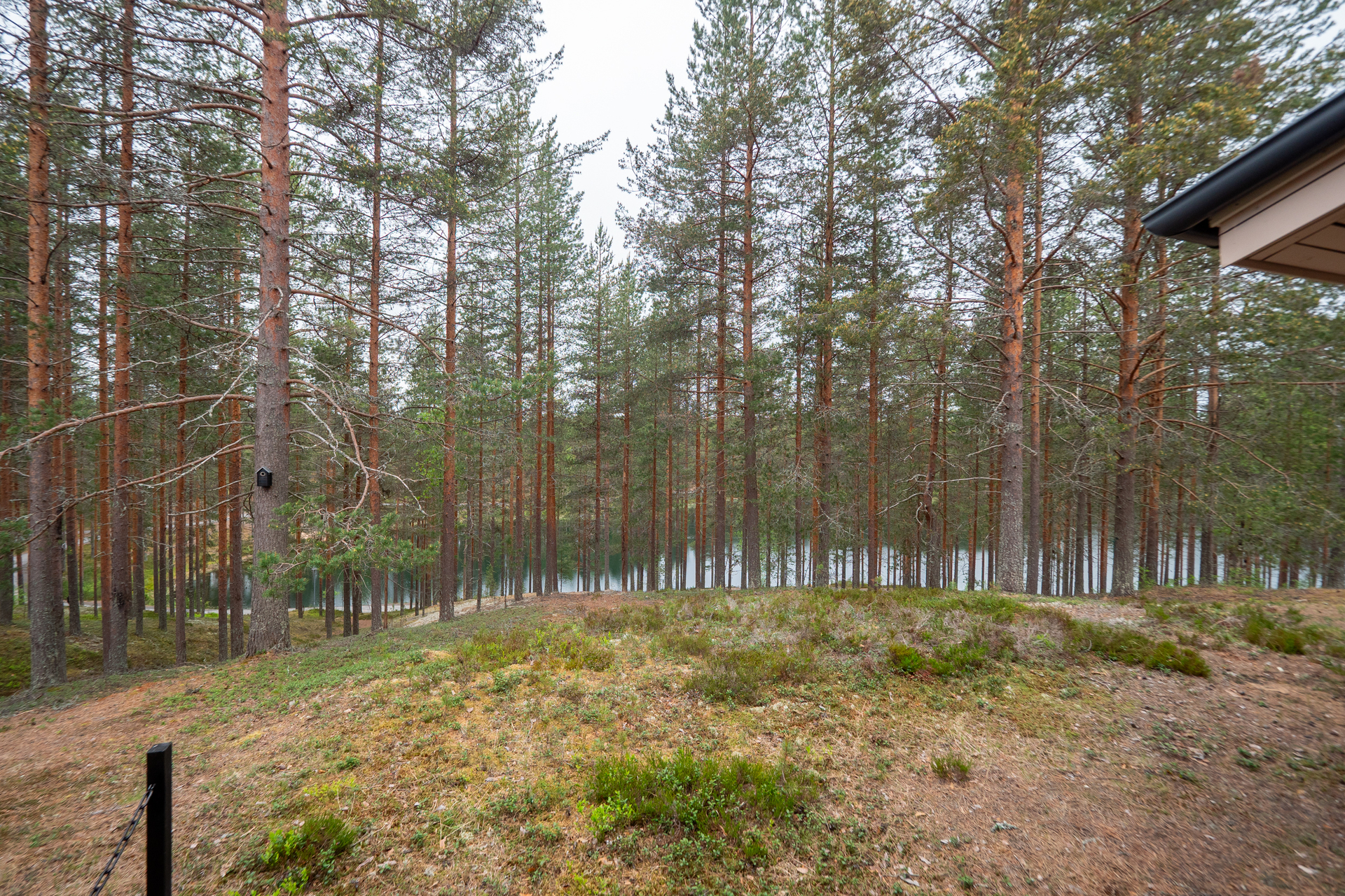 Rokuanrivintie 52, Rokua, Utajärvi