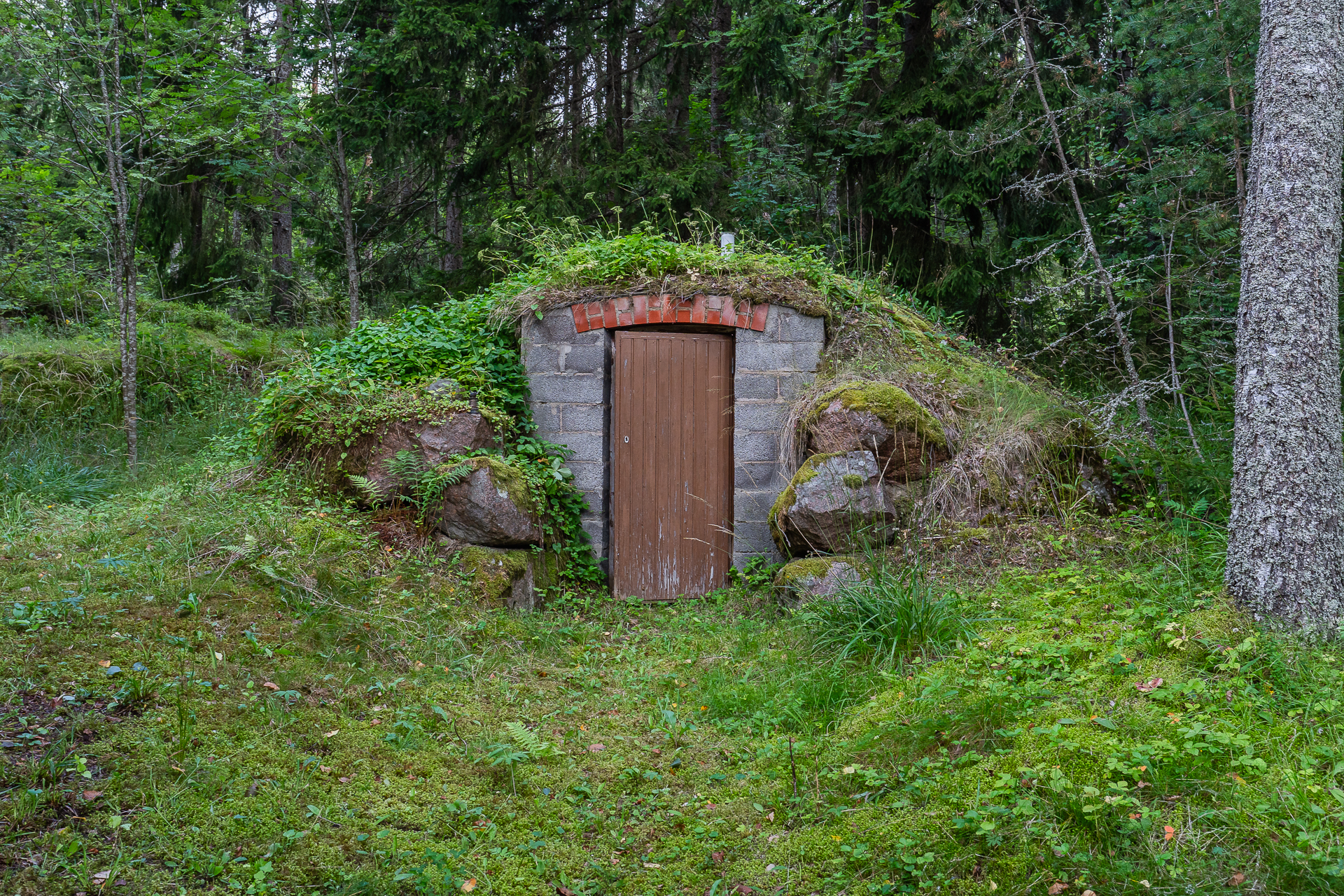 Maakellari