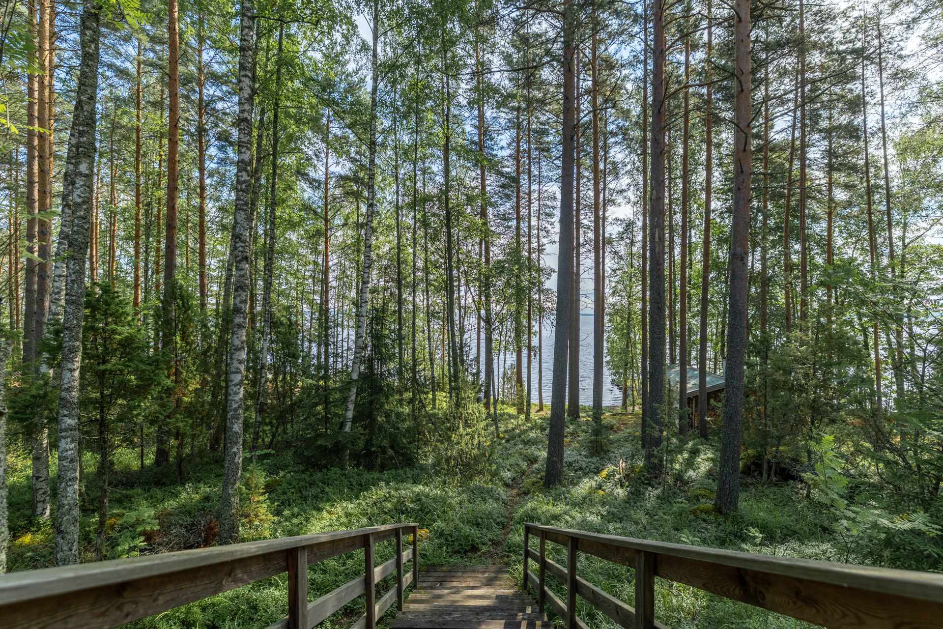 Pehesaari -, Tuukkala, Hirvensalmi