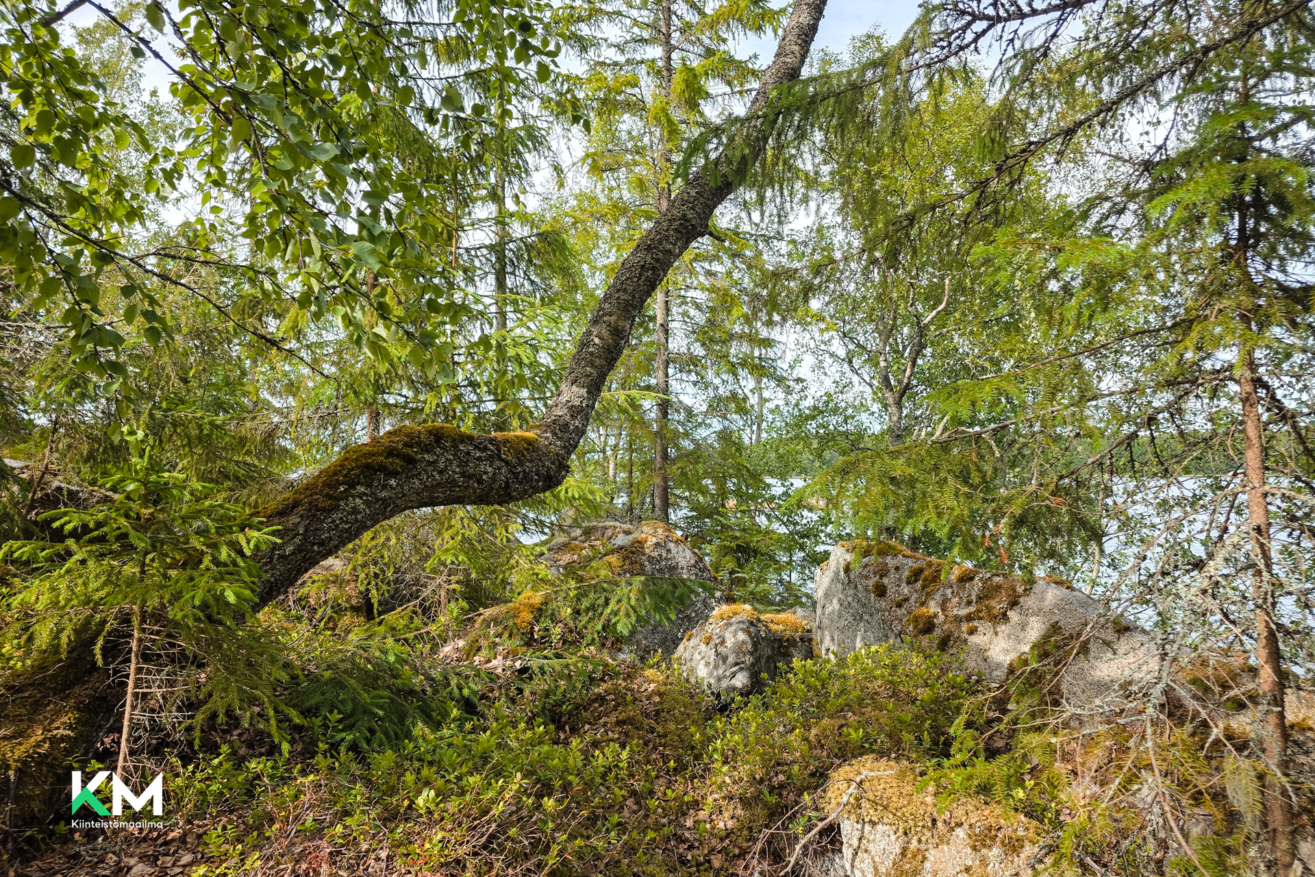 Byrkholmen, Larsmo skärgård, Larsmo